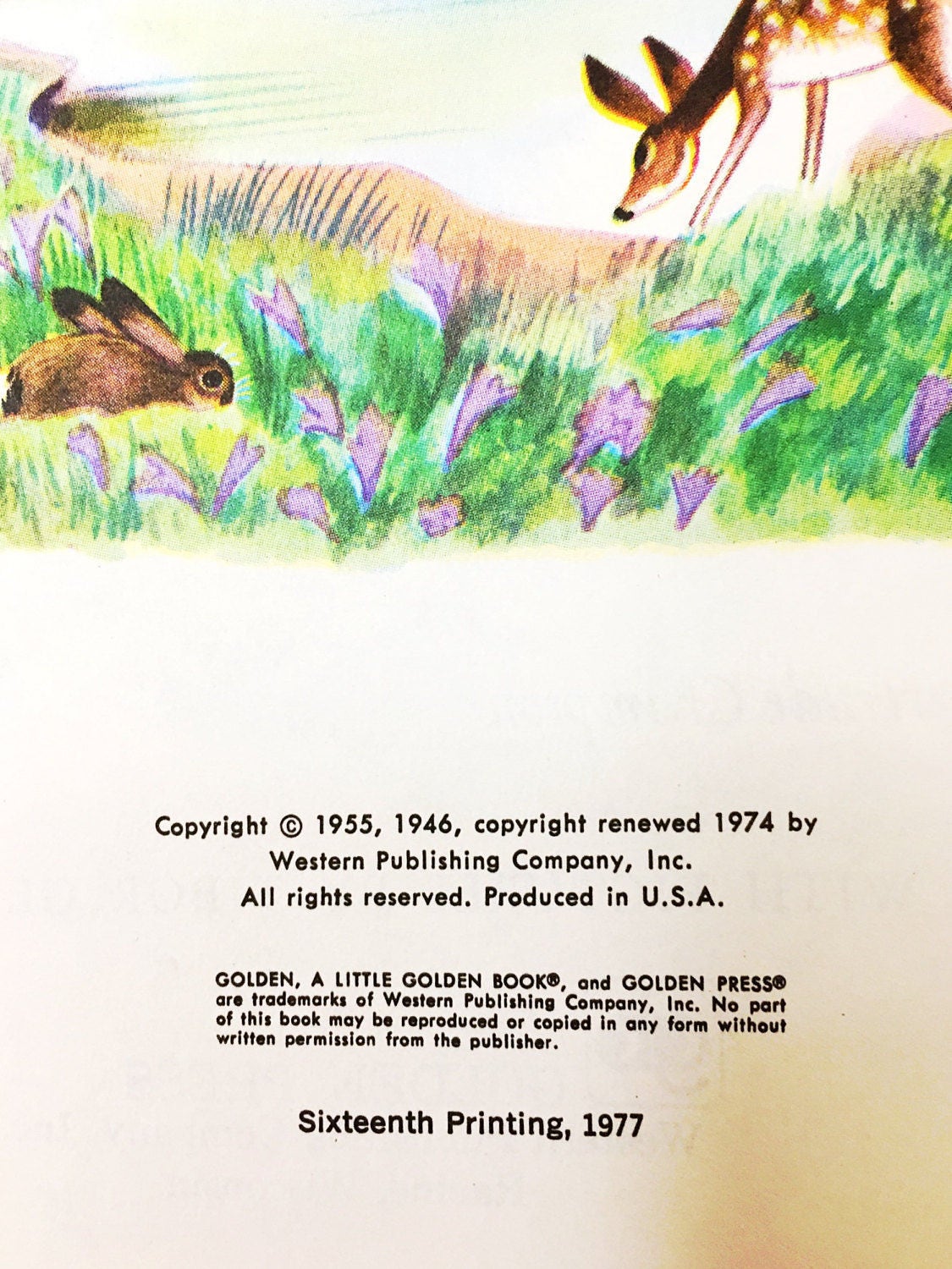 Polly's Pet Vintage Little Golden Book Circa 1984. 302-55. Lucille Hammond and illustrated by Amye Rosenberg. Gift under 10