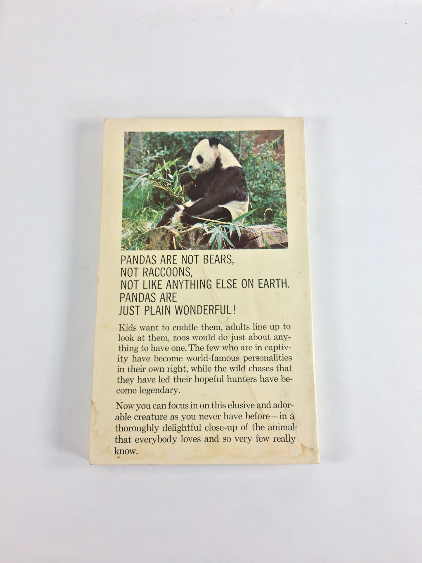 Pandas by Joseph Davis. Vintage children & young adult paperback book. Educational fun facts with photos.