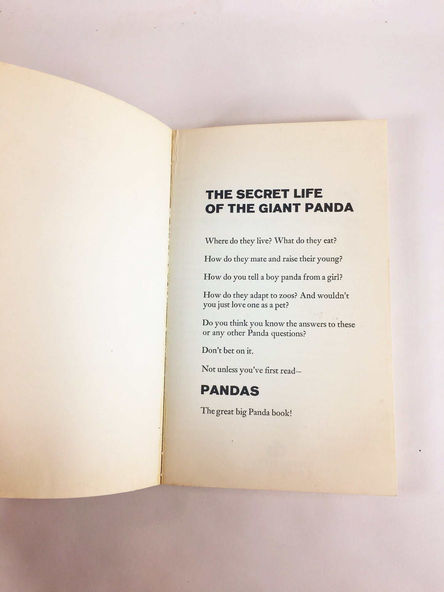 Pandas by Joseph Davis. Vintage children & young adult paperback book. Educational fun facts with photos.