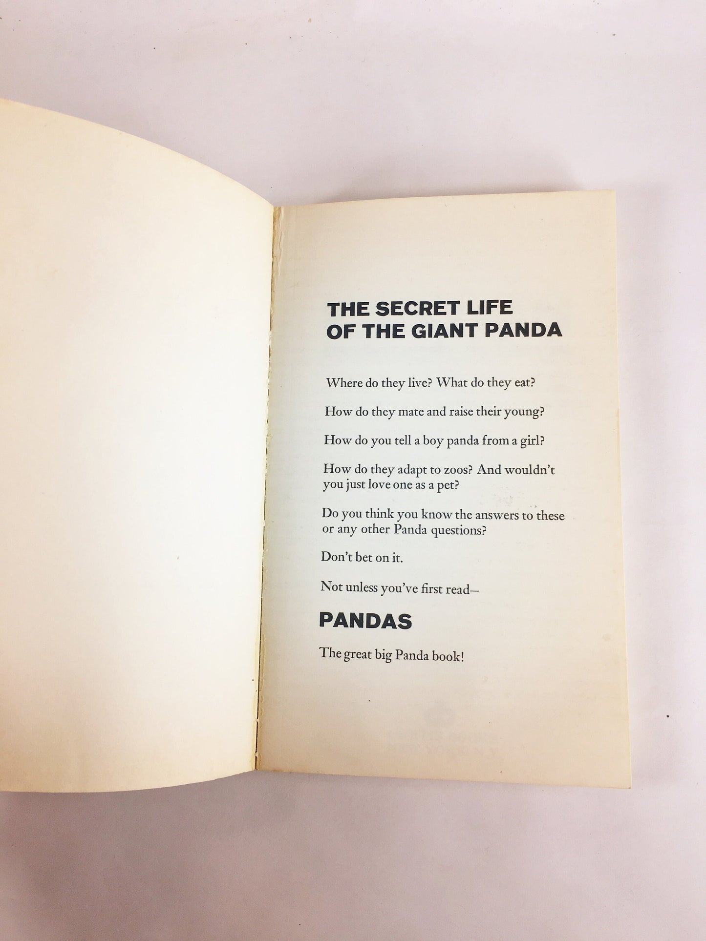 Pandas by Joseph Davis. Vintage children & young adult paperback book. Educational fun facts with photos.