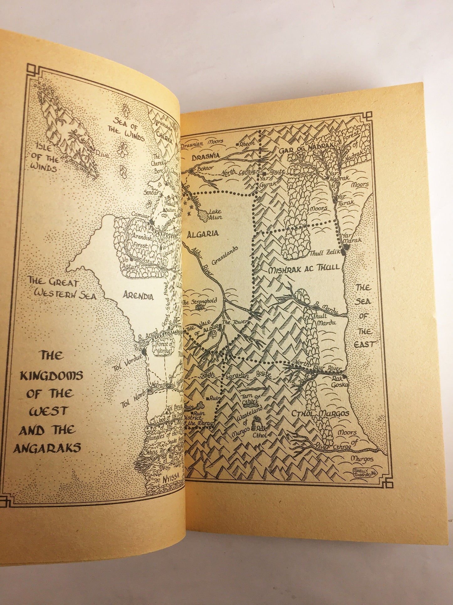 David Eddings Enchanters' End Game. Book five of the Belgariad. Vintage paperback book circa 1989. Scifi fantasy gift.