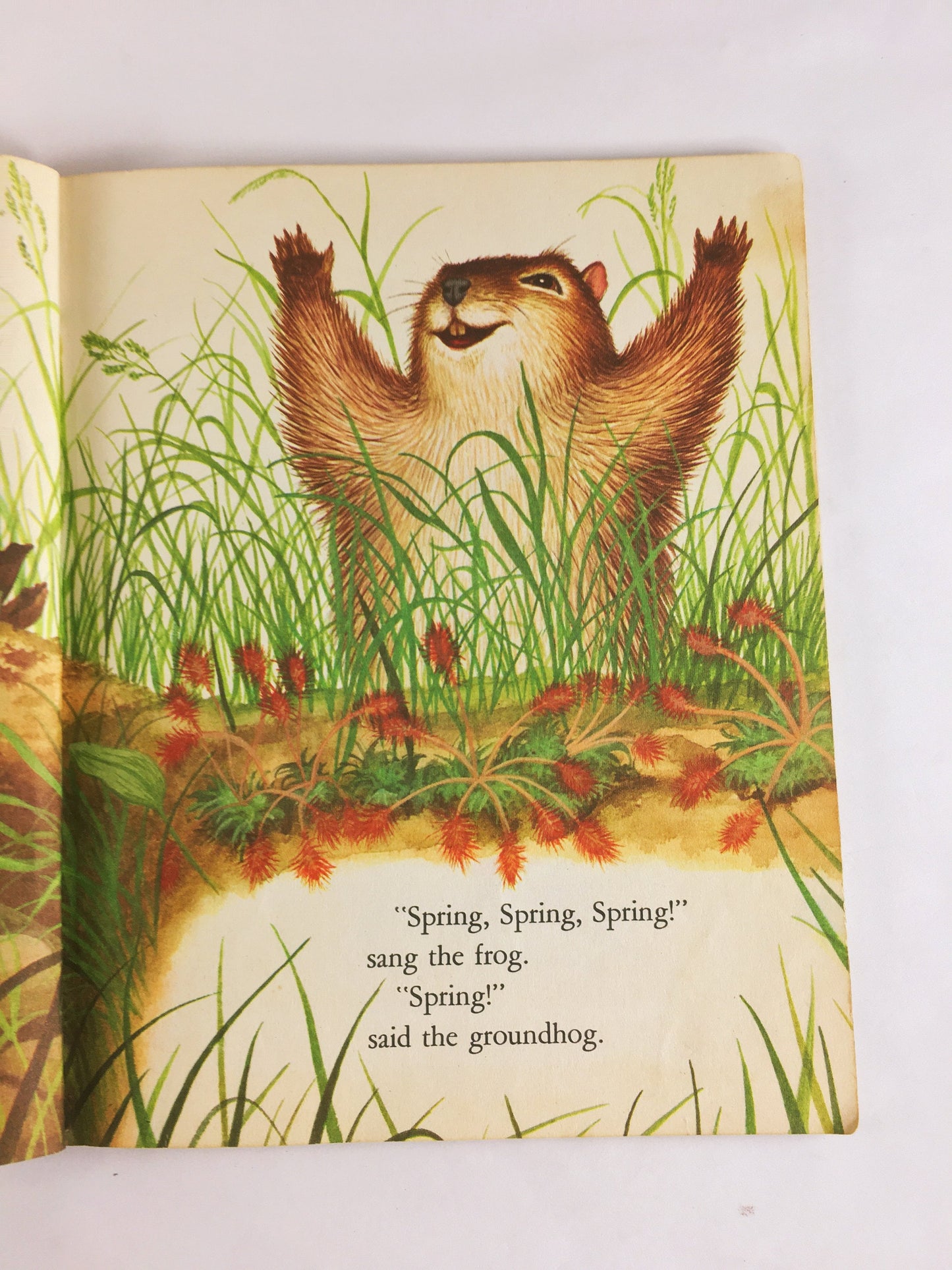 Margaret Wise Brown Home for a Bunny illustrated by Garth Williams. Little Golden Book circa 1961 vintage “D” early printing
