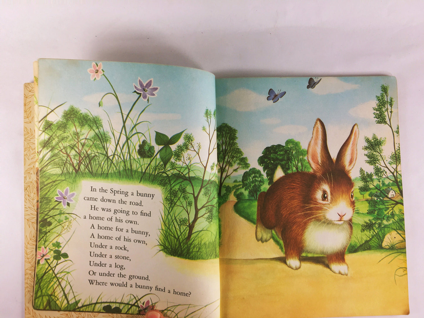 Margaret Wise Brown Home for a Bunny illustrated by Garth Williams. Little Golden Book circa 1961 vintage “D” early printing