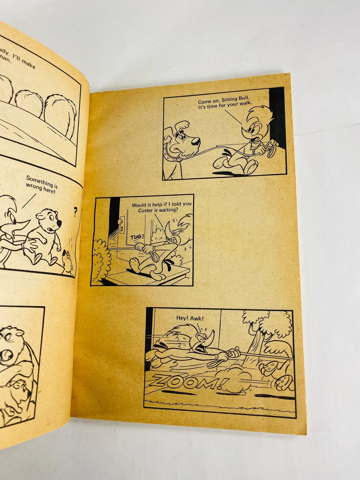Woody Woodpecker Vintage Warner Brothers paperback book circa 1971 by Walter Lantz. Kids tween teen comics