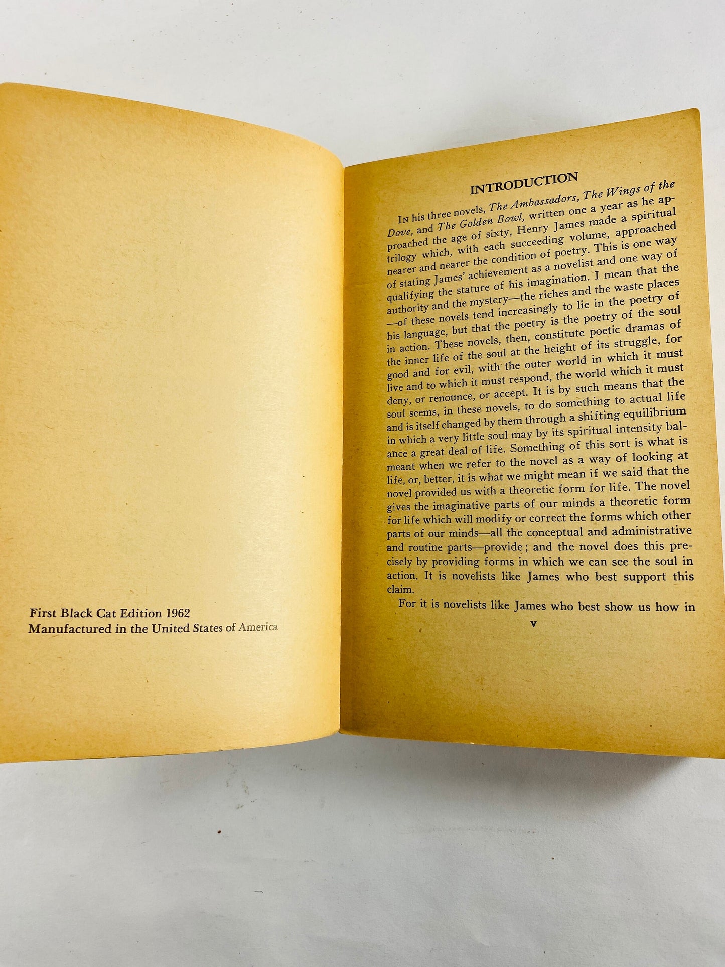 Golden Bowl by Henry James, vintage paperback book circa 1965 about a tale of illicit love, adultery and cheating relationships.