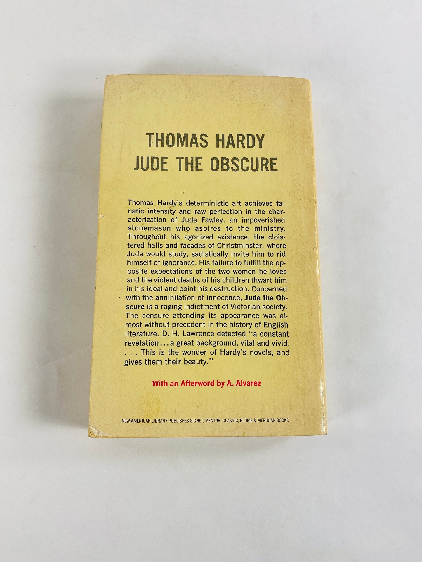 Jude the Obscure by Thomas Hardy Vintage paperback book about a man who falls in love with a sensitive, freethinking 'New Woman'.
