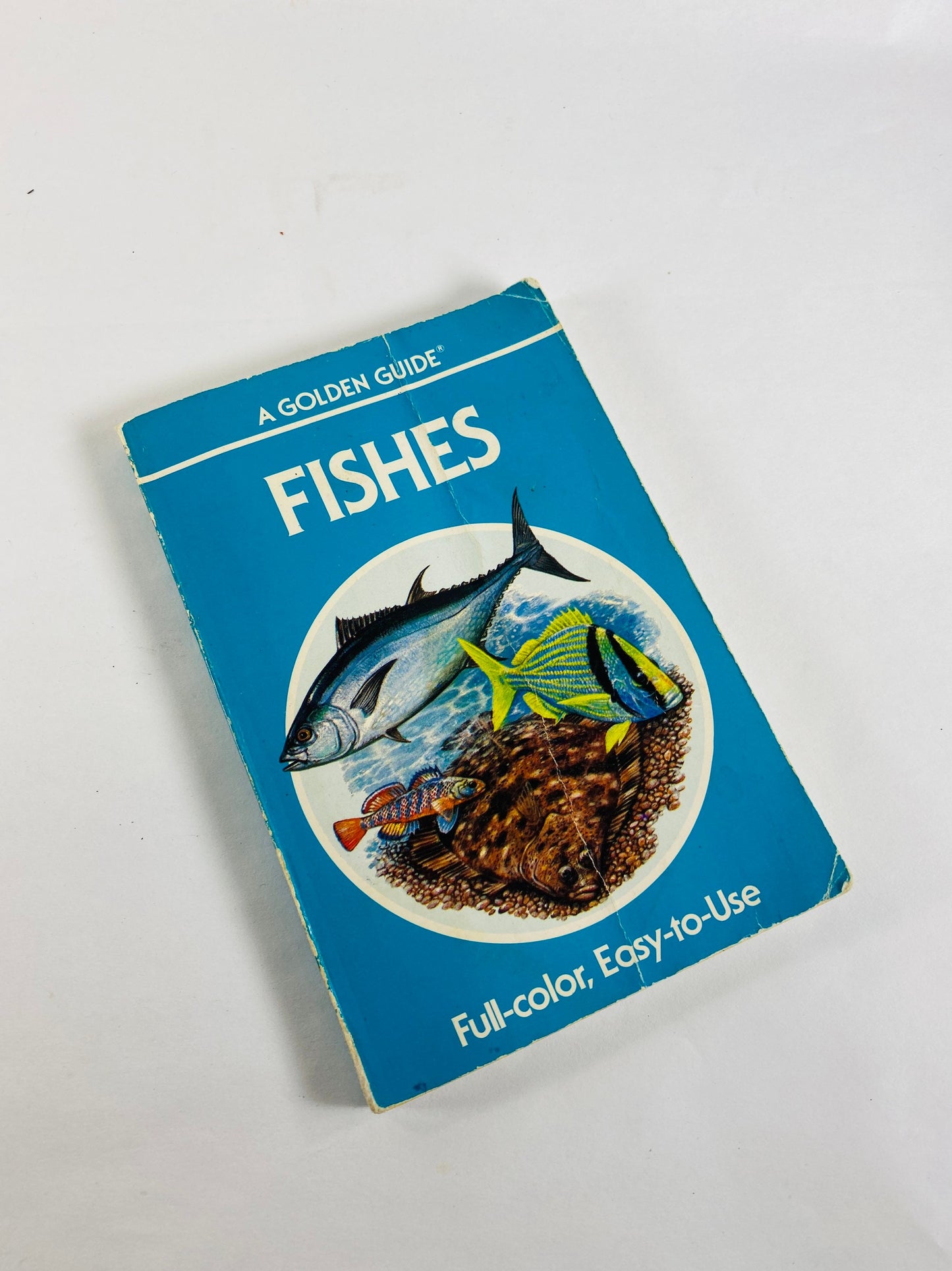 Golden Guide Book Fossils Seashells Fishes Vintage paperback books circa 1985 Whitman Golden