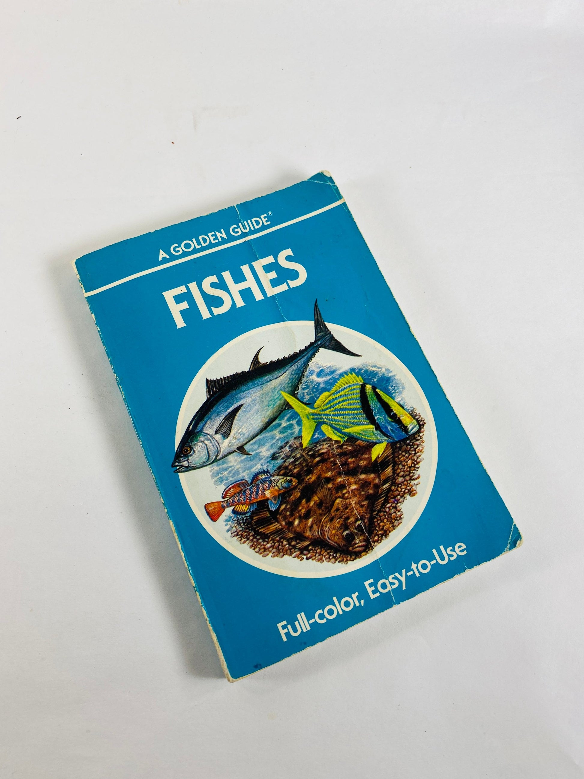 Golden Guide Book Fossils Seashells Fishes Vintage paperback books circa 1985 Whitman Golden