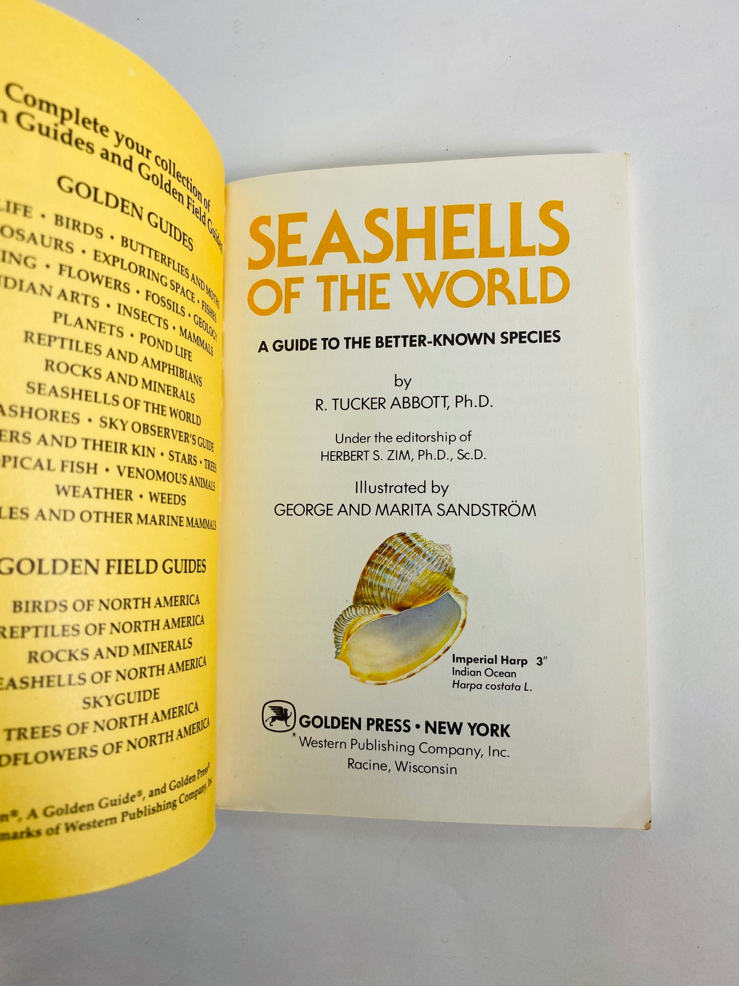 Golden Guide Book Fossils Seashells Fishes Vintage paperback books circa 1985 Whitman Golden