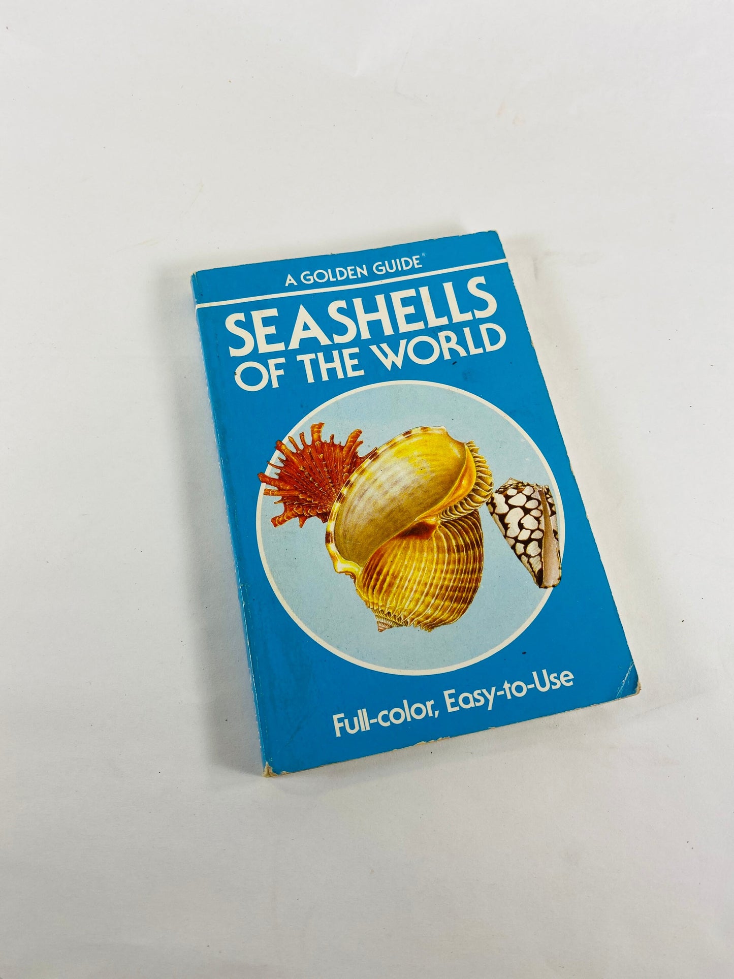 Golden Guide Book Fossils Seashells Fishes Vintage paperback books circa 1985 Whitman Golden