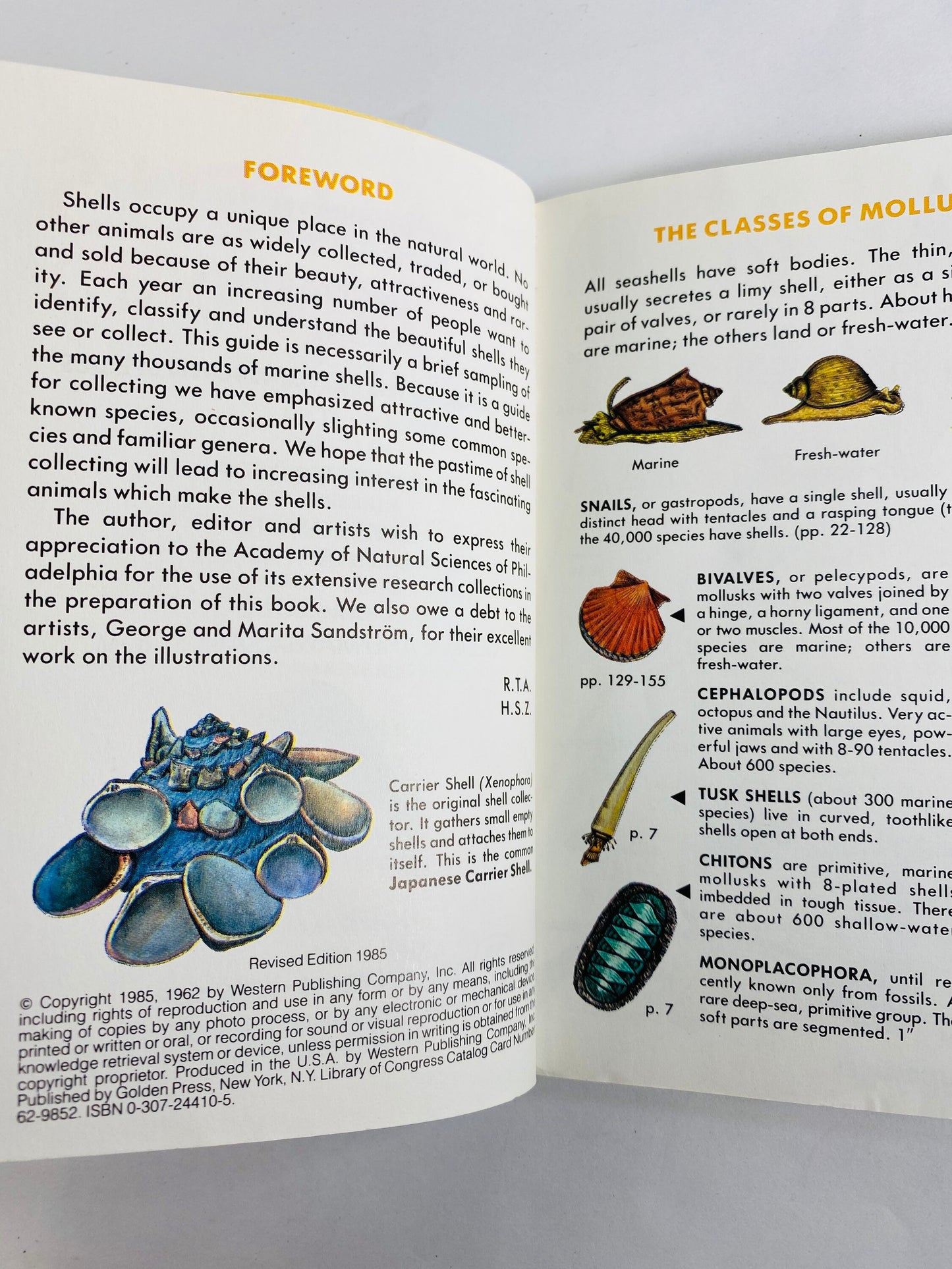 Golden Guide Book Fossils Seashells Fishes Vintage paperback books circa 1985 Whitman Golden