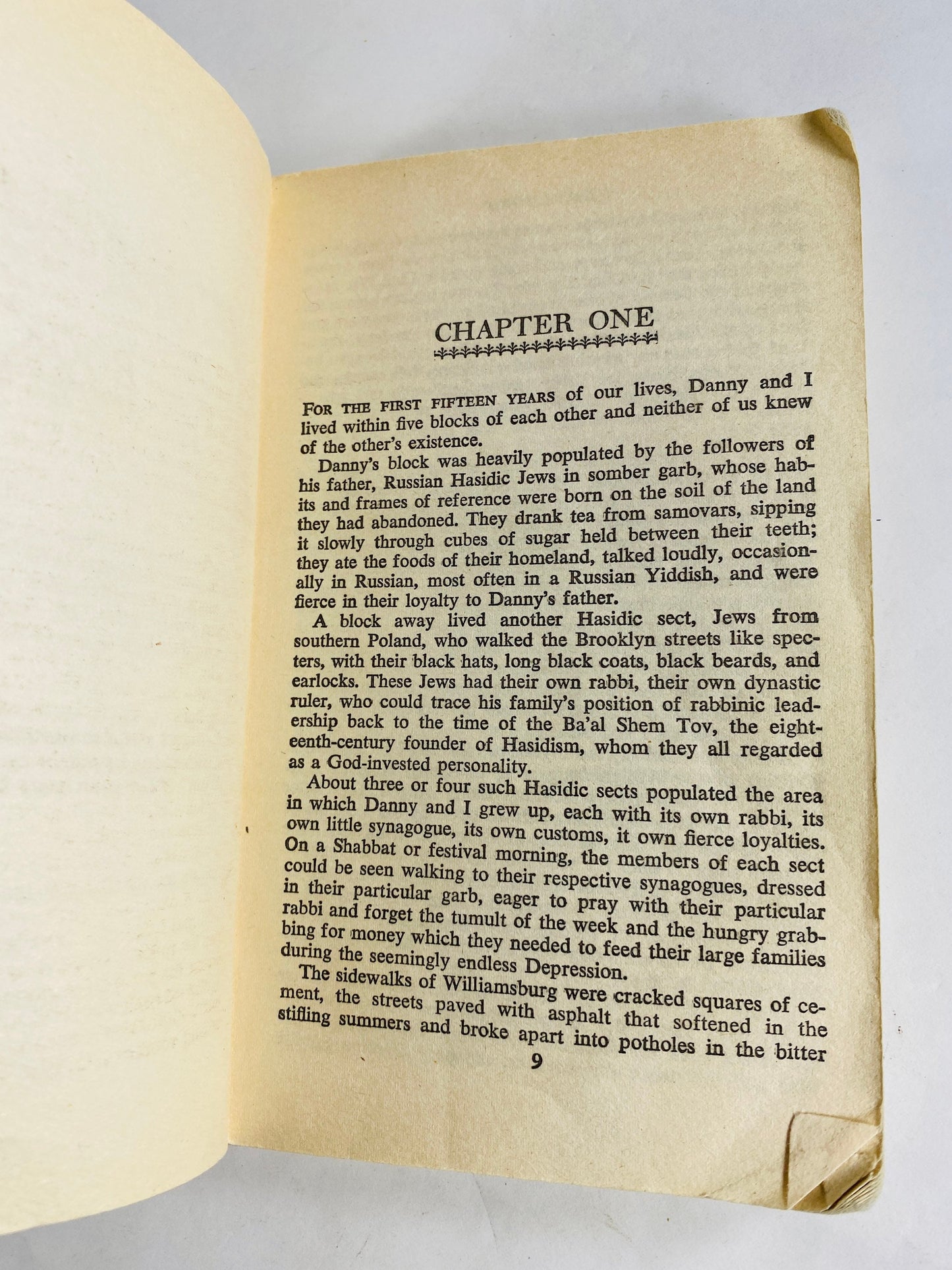 Chosen by Chaim Potok Vintage paperback book about growing up in Williamsburg Brooklyn, New York, in the 1940s. Jewish Literature