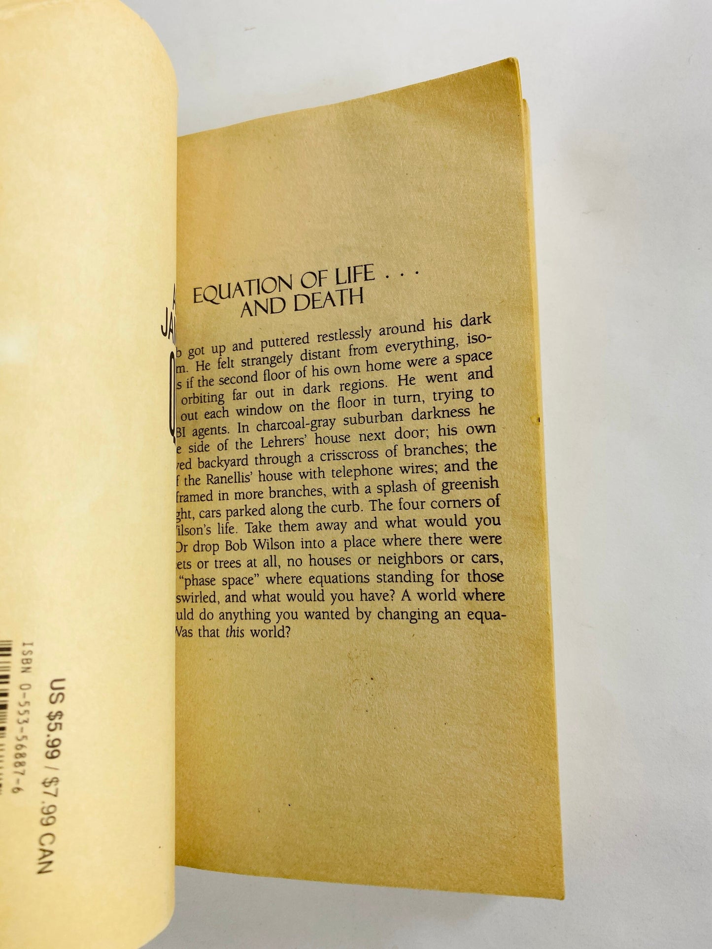 Higher space vintage paperback book by Jamil Nasir about mathematics professor with dreams of immortality and a doorway to another world