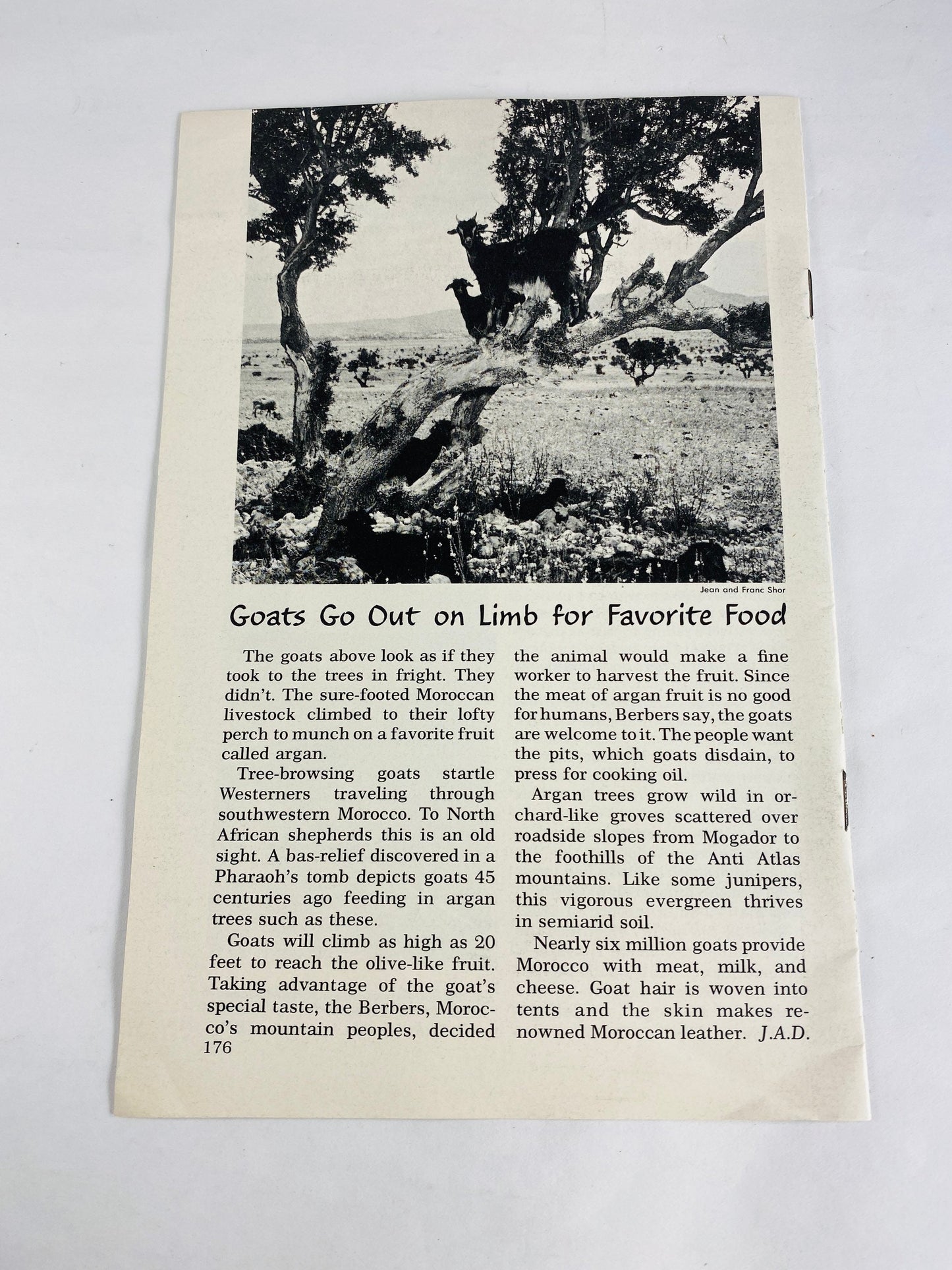 RARE Peking travel information brochure booklet circa 1969 Tourist's Guide to Communist China by National Geographic School Library