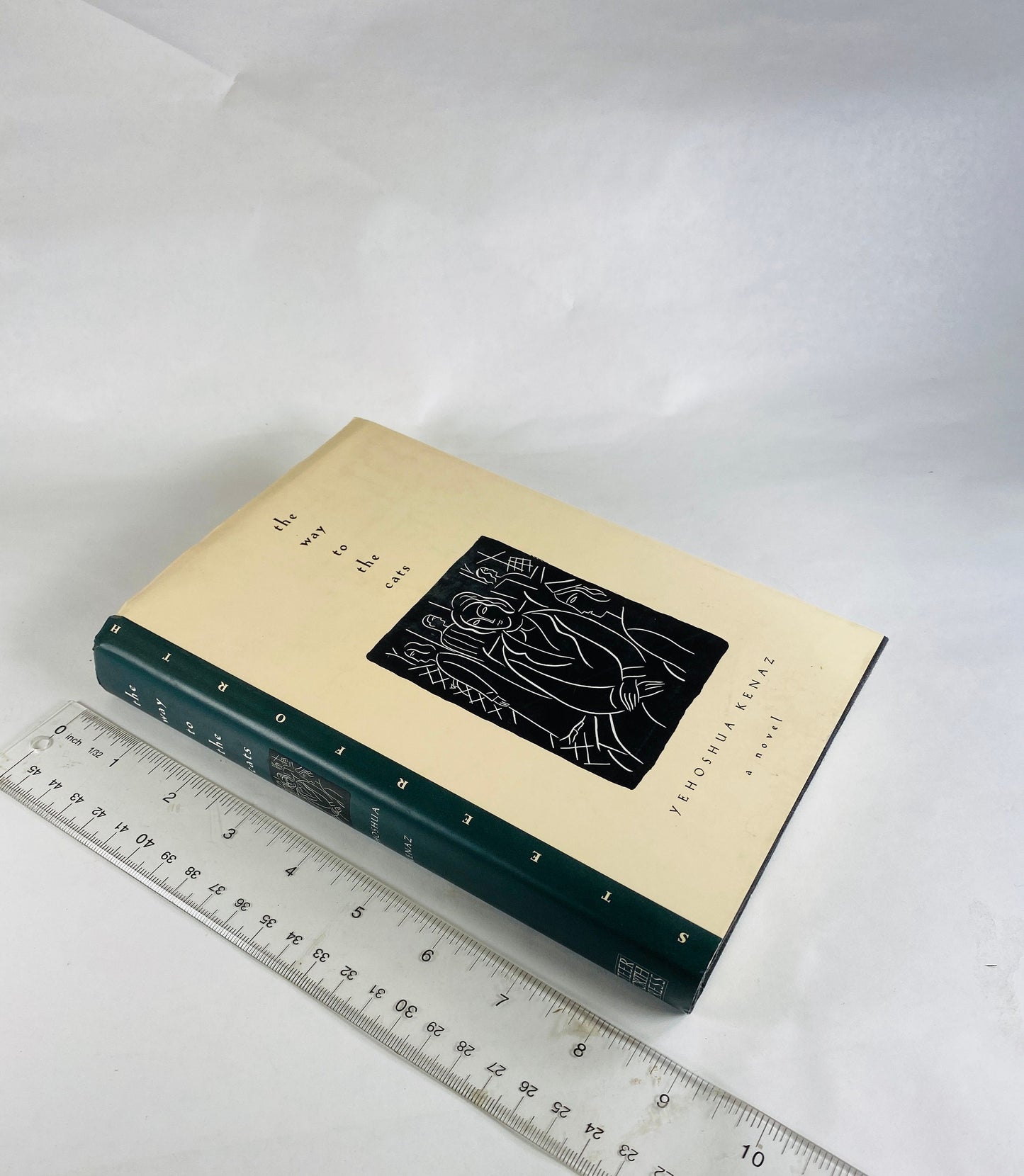 Way to the Cats vintage book by Yehoshua Kenaz circa 1994 Poignant portrait of growing older physically and mentally.