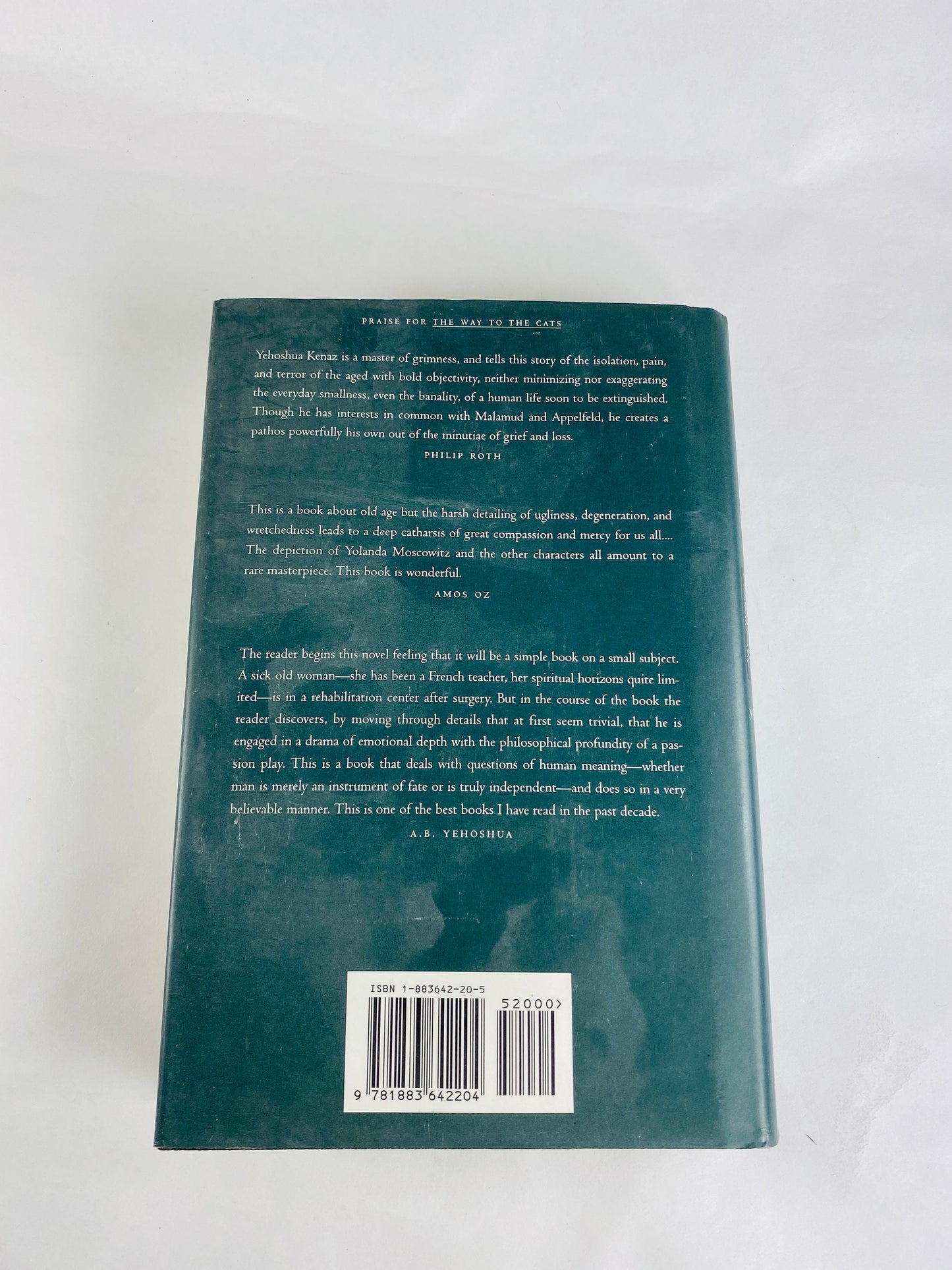 Way to the Cats vintage book by Yehoshua Kenaz circa 1994 Poignant portrait of growing older physically and mentally.