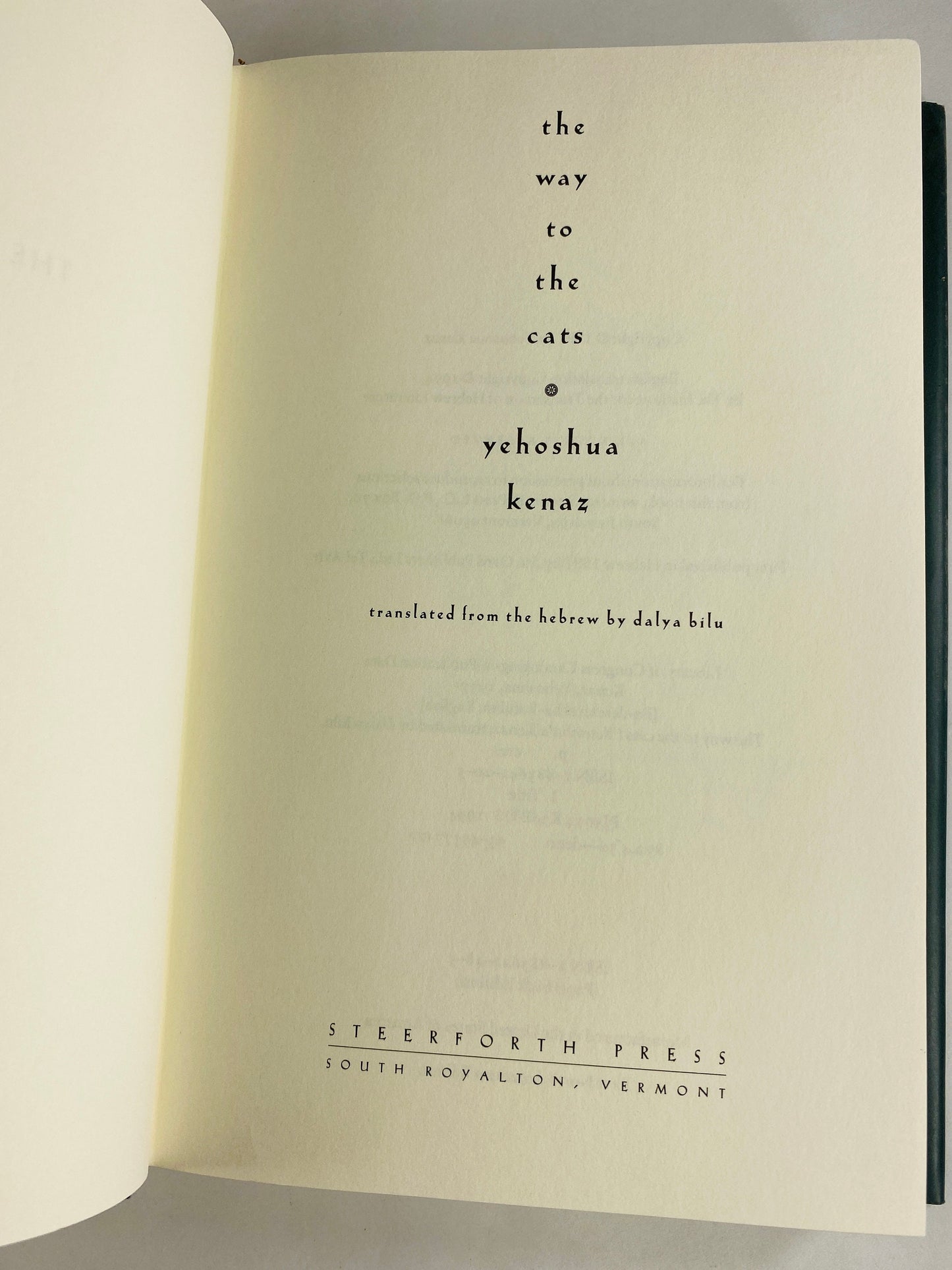 Way to the Cats vintage book by Yehoshua Kenaz circa 1994 Poignant portrait of growing older physically and mentally.