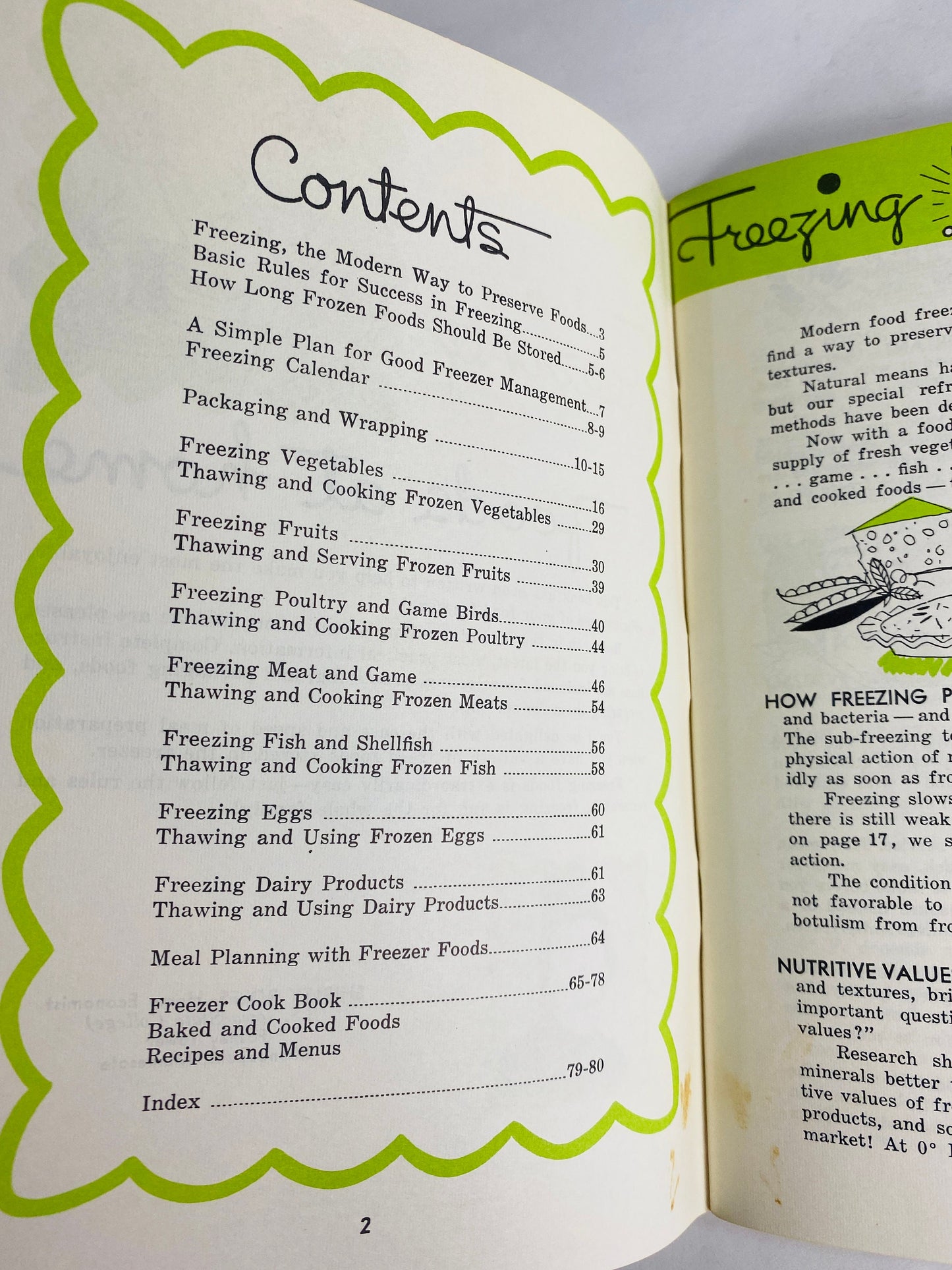1959 Freezing Foods at Home in your Gibson Freezer vintage Owners Manual Retro kitchen collectible