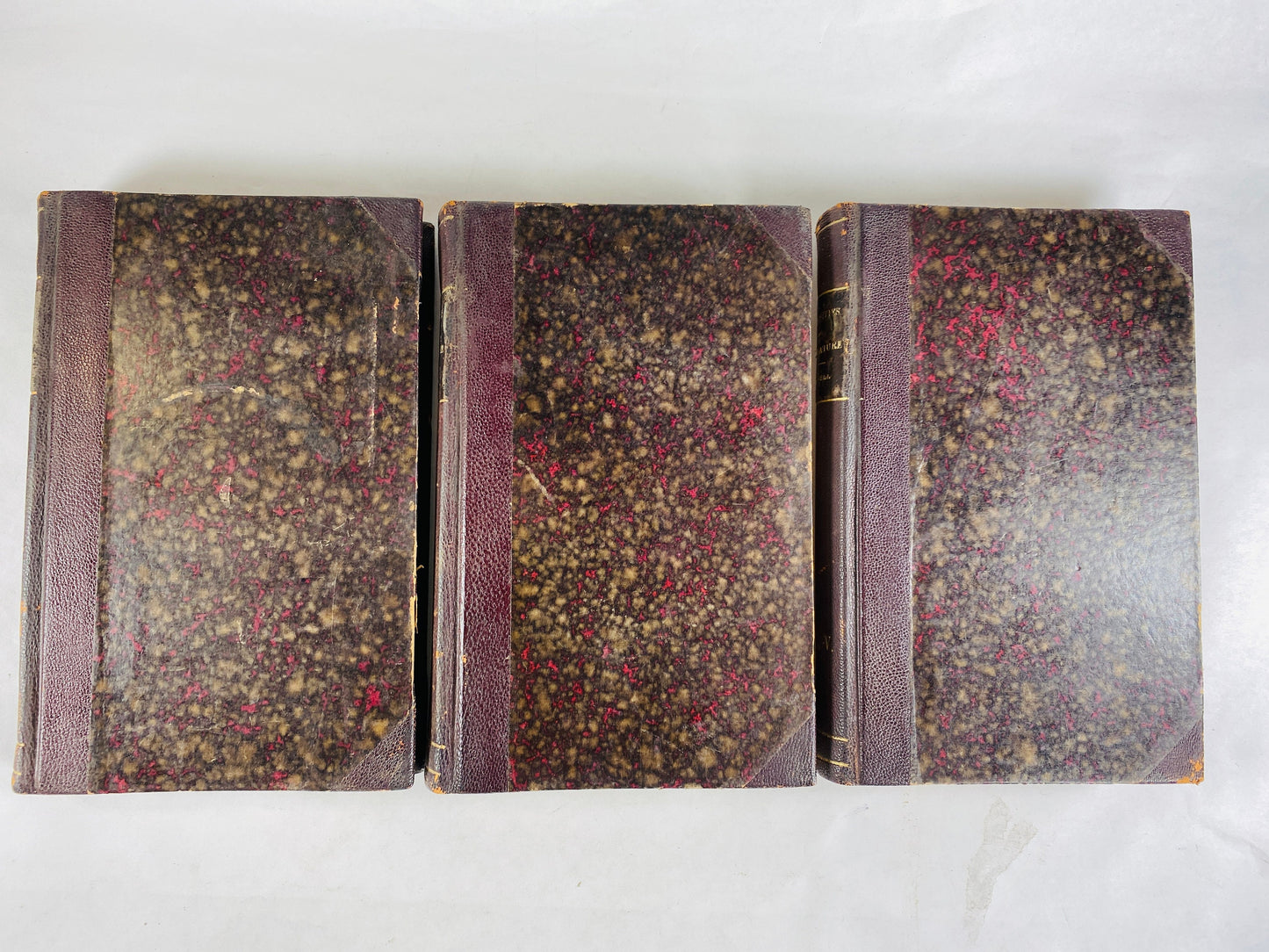1823 Curiosities of Literature by Isaac Disraeli GORGEOUS brown full leather binding antique London book set vintage home decor