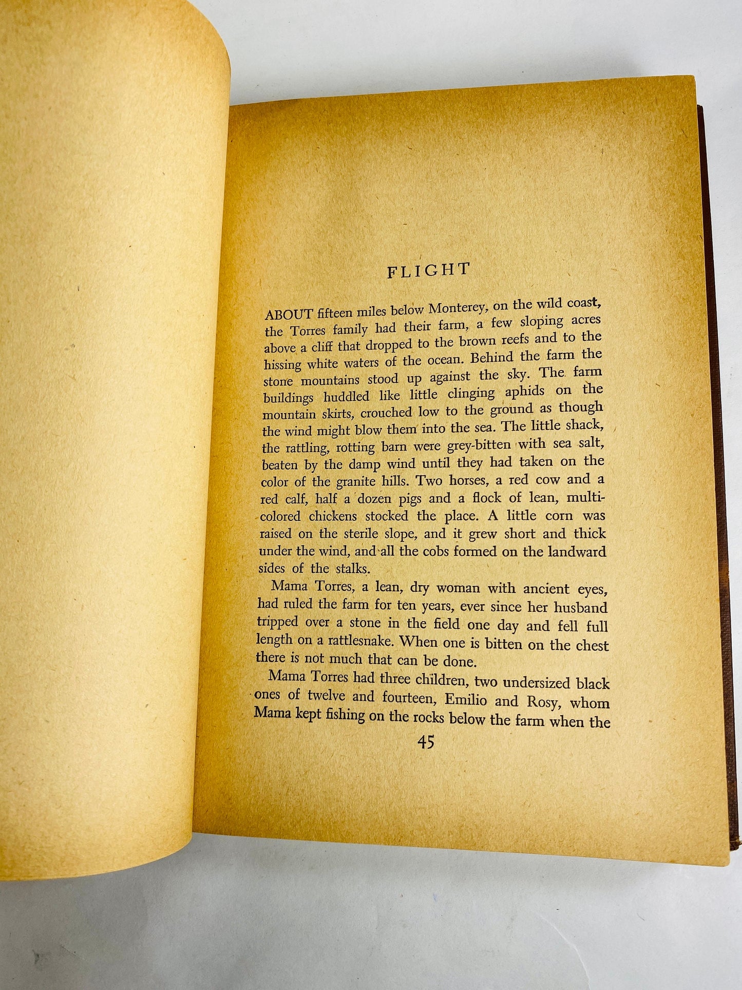 1945 Long Valley by John Steinbeck vintage book collection of short stories of simple people in Salinas Valley California EARLY PRINTING