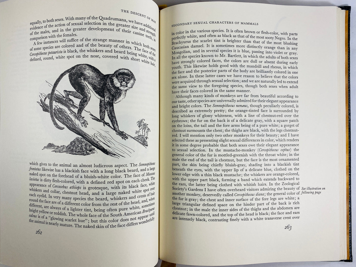 Charles Darwin Descent of Man Selection in Relation to Sex GORGEOUS Easton Press leather bound book 22kt gilt outdoors nature lover gift