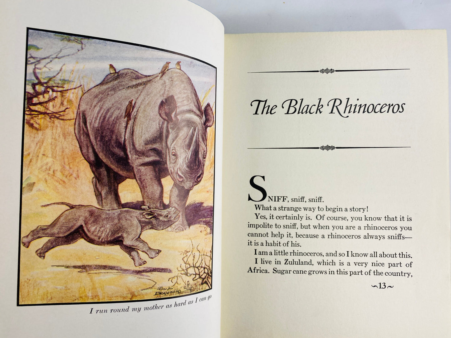 1934 Jungle Babies vintage book by Edyth Kaigh-Eustace children’s stories of baby animals Newborn birthday gift lion cub