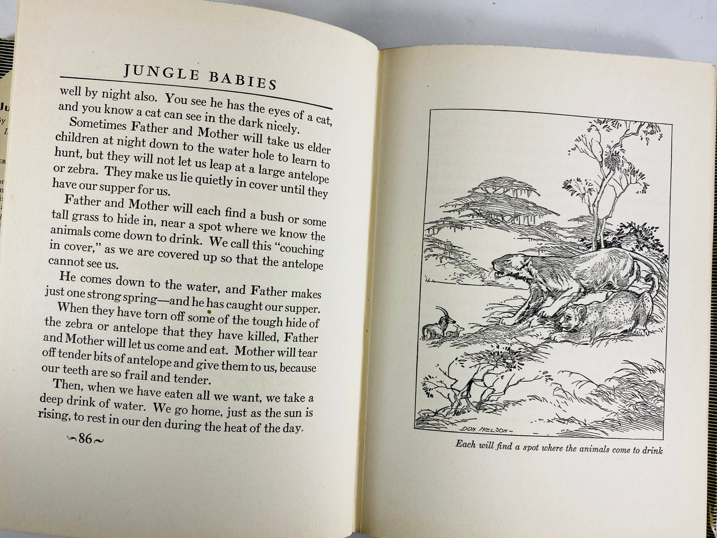 1934 Jungle Babies vintage book by Edyth Kaigh-Eustace children’s stories of baby animals Newborn birthday gift lion cub