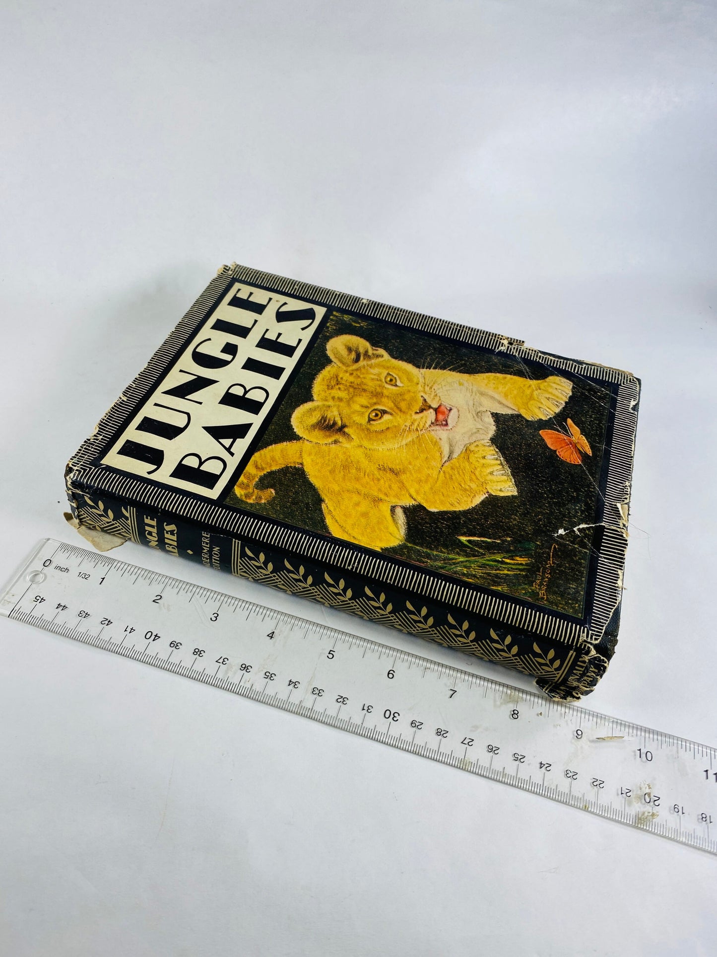 1934 Jungle Babies vintage book by Edyth Kaigh-Eustace children’s stories of baby animals Newborn birthday gift lion cub