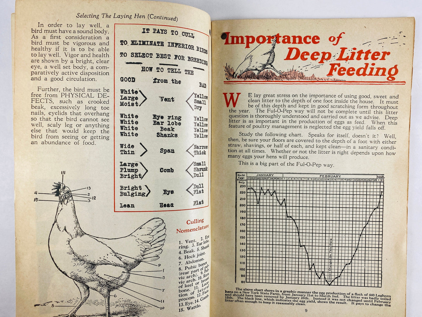 Quaker Oats poultry calendar vintage advertising booklet circa 1950 ORIGINAL collectible blue retro kitchen home decor Chicken Rooster gift