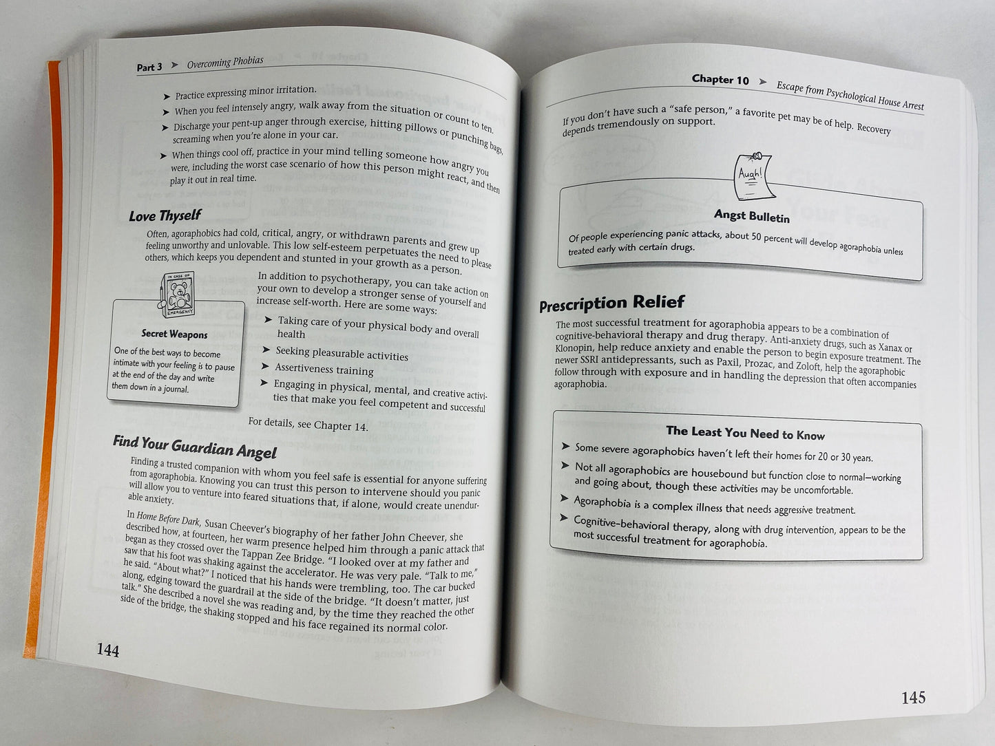 Idiot’s Guide to Conquering Fear and Anxiety vintage paperback book by Sharon Heller reference guide nervous terror and management