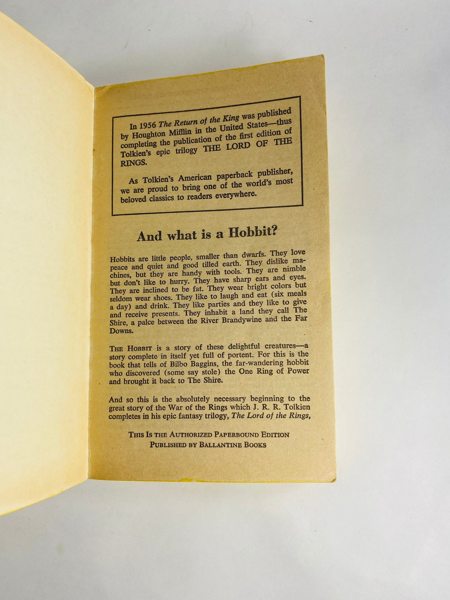 Hobbit paperback book by JRR Tolkien circa 1984 Lord of the Rings prelude Ballantine Books LOTR