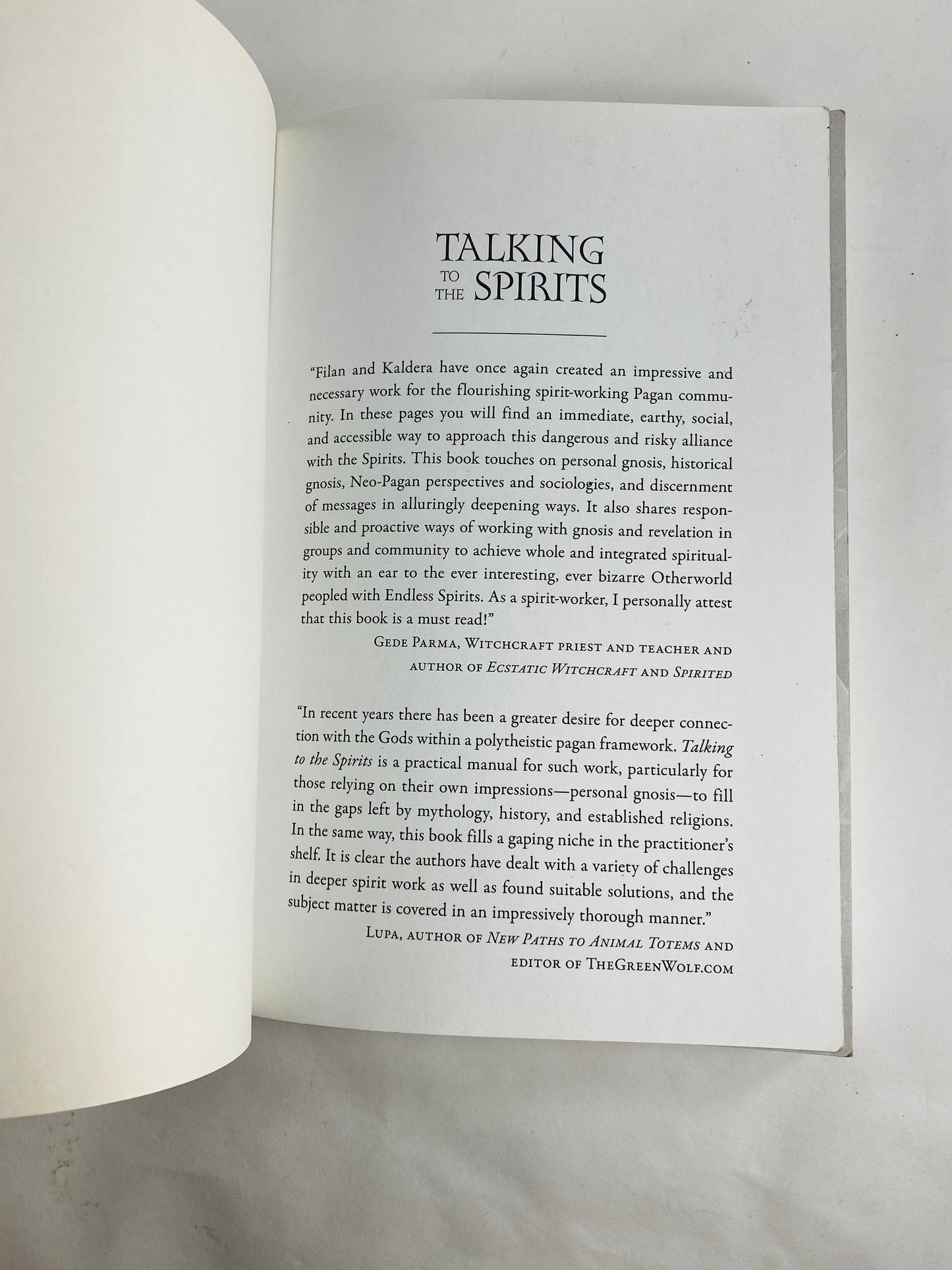 Talking to the Spirits vintage occult book Personal Gnosis in Pagan religion Afterlife Spiritualism clairvoyance