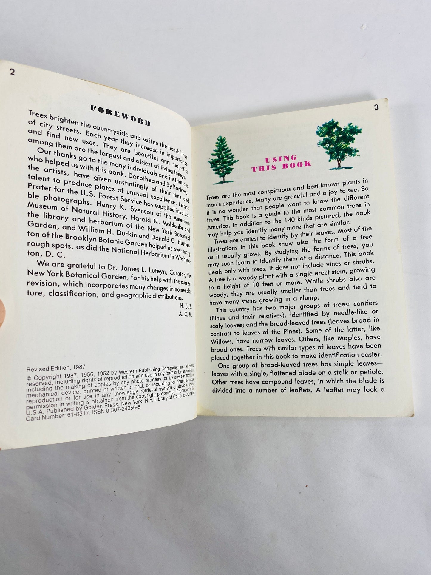 Golden Guide Book to Trees vintage paperback books circa 1985 Whitman Golden