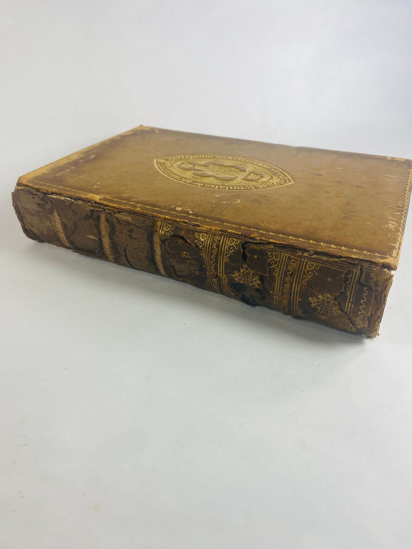 1898 History of Roman Literature Charles Thomas Cruttwell Fine Binding vintage book with gold embossing & embossing Gift