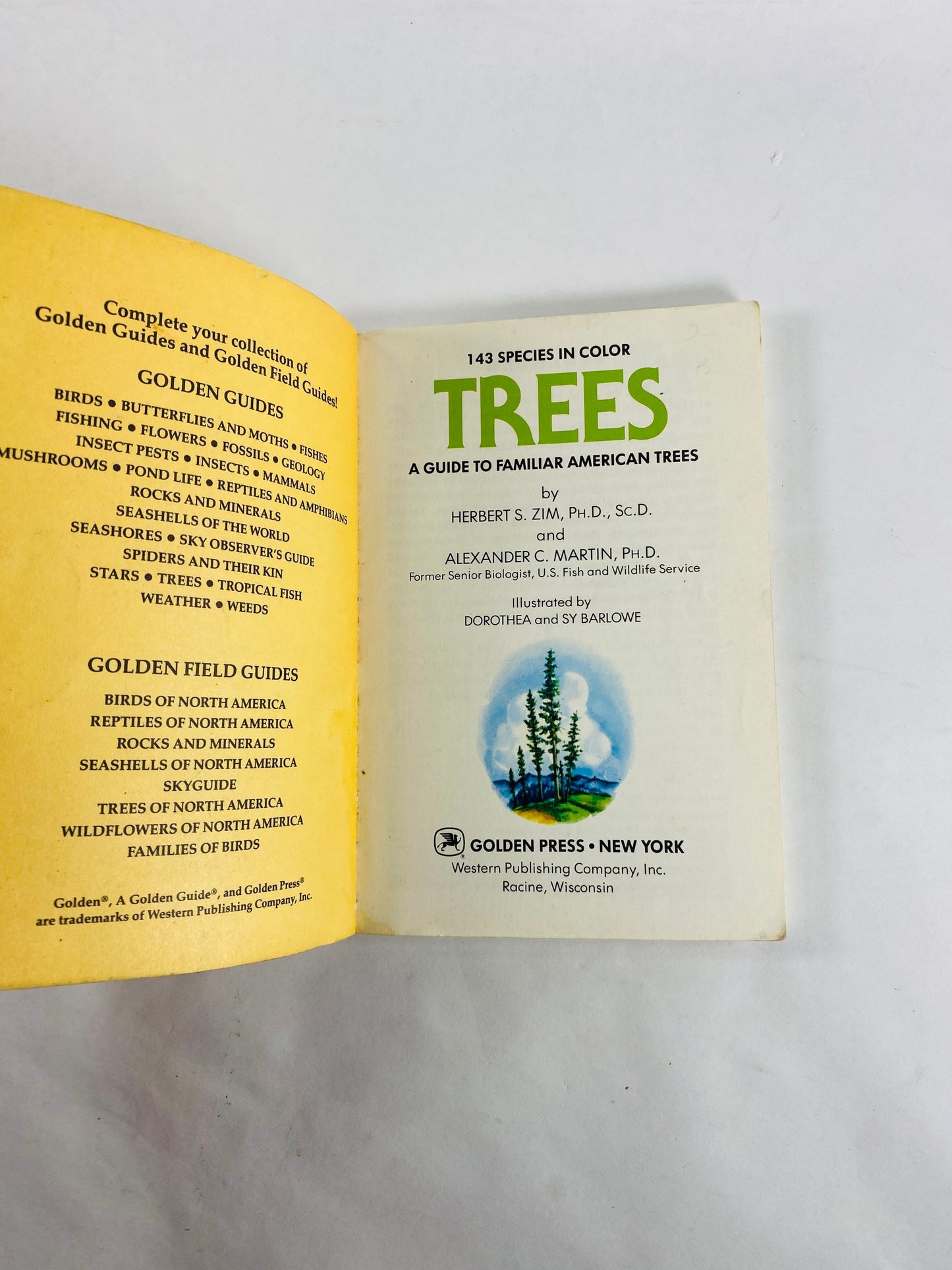 Golden Guide Book to Trees vintage paperback books circa 1985 Whitman Golden