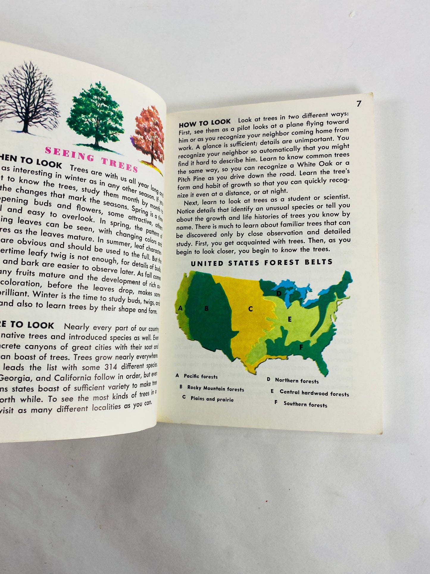 Golden Guide Book to Trees vintage paperback books circa 1985 Whitman Golden