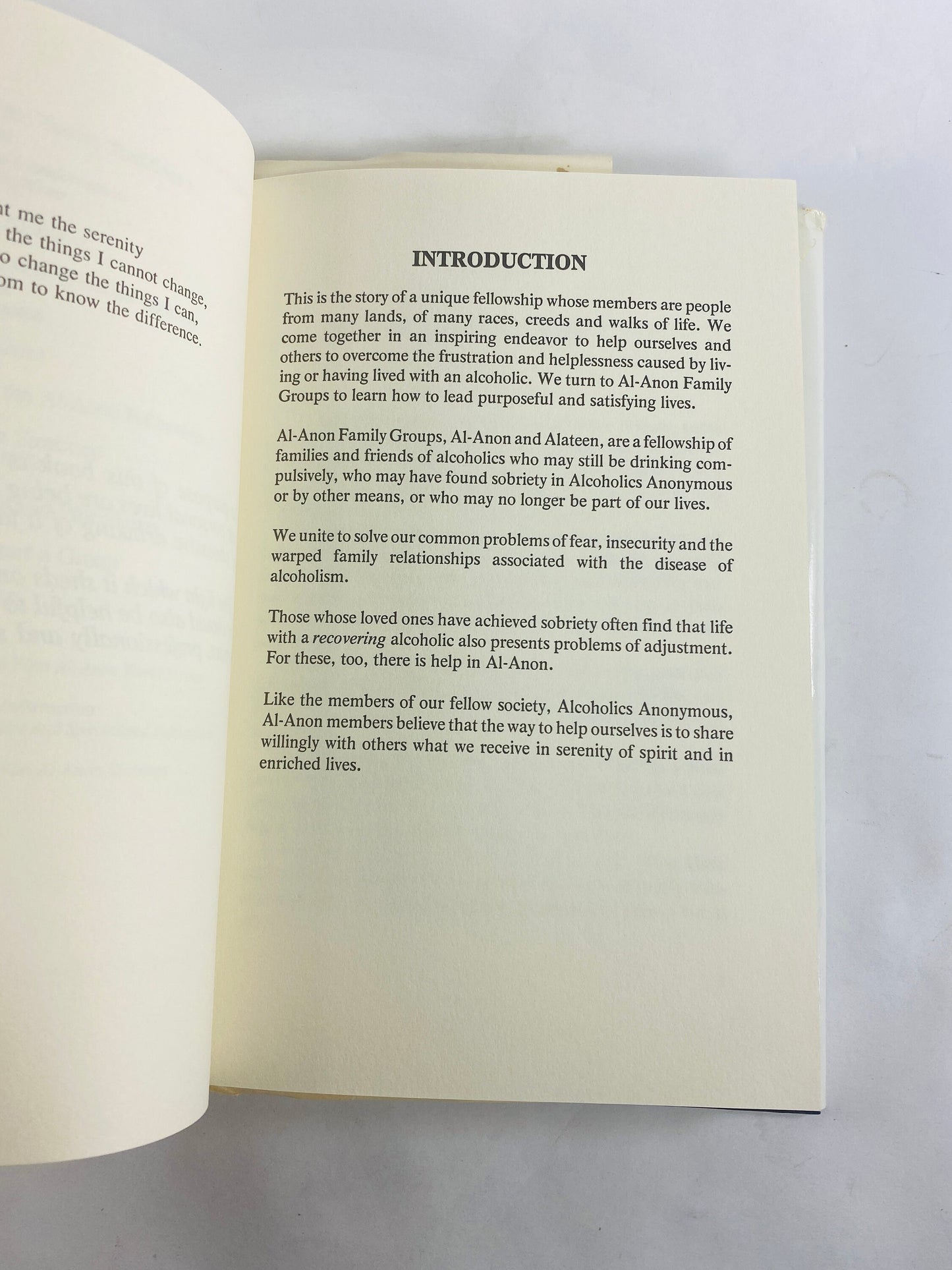 Al-Anon Family Groups vintage book circa 1984 Alcoholics Anonymous Recovery, Addiction, AA, Al-Anon, sobriety, gift.