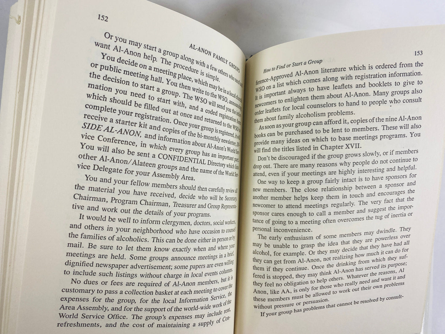 Al-Anon Family Groups vintage book circa 1984 Alcoholics Anonymous Recovery, Addiction, AA, Al-Anon, sobriety, gift.