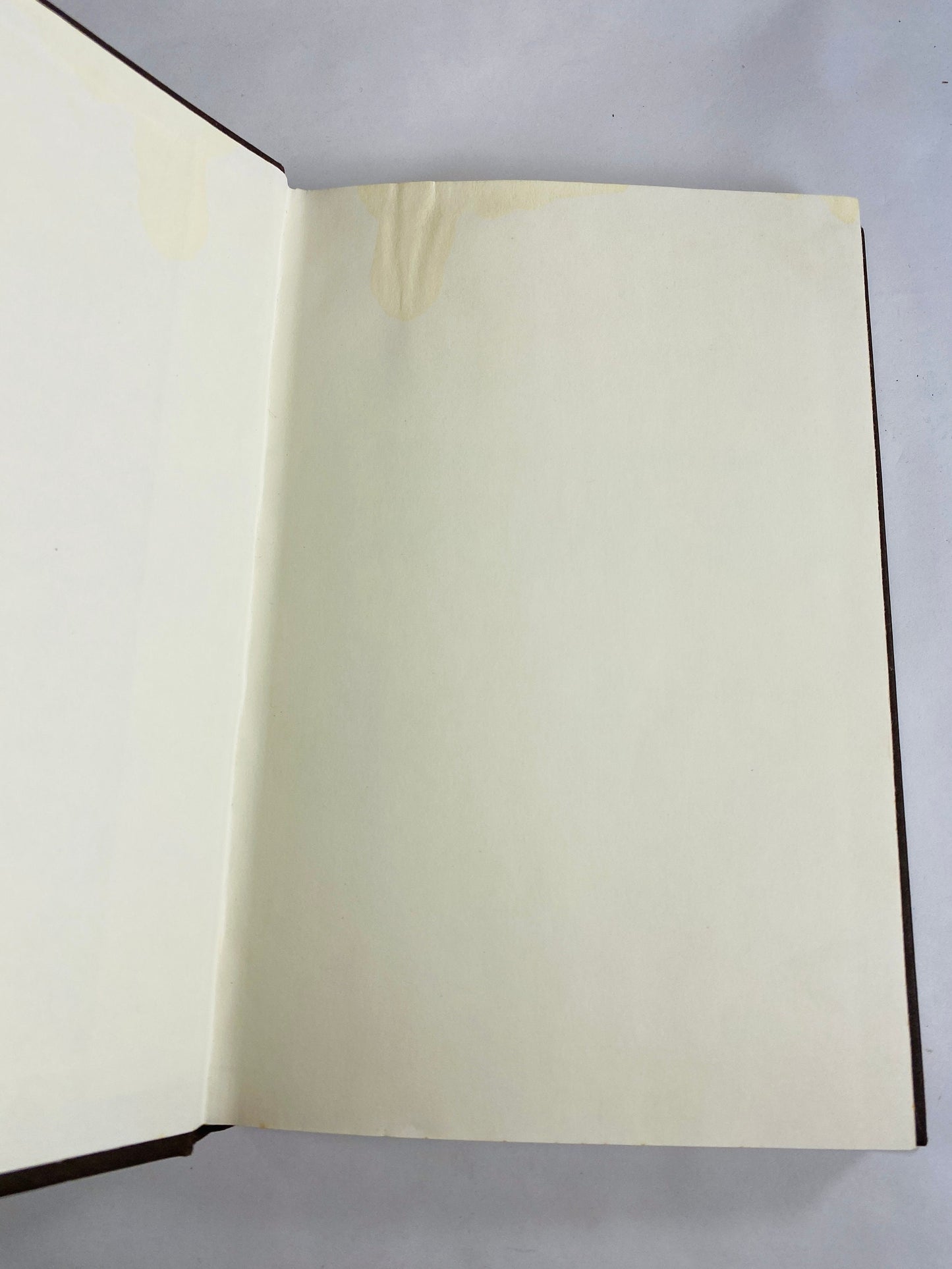 Story of Henri Tod by William F Buckley vintage book circa 1984 set in East Germany. Brown bookshelf decor