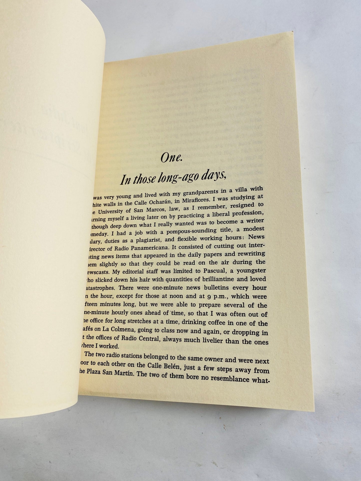 1982 Aunt Julia and the Scriptwriter by Mario Vargas Llosa Vintage paperback book set in Peru who has an affair with his aunt