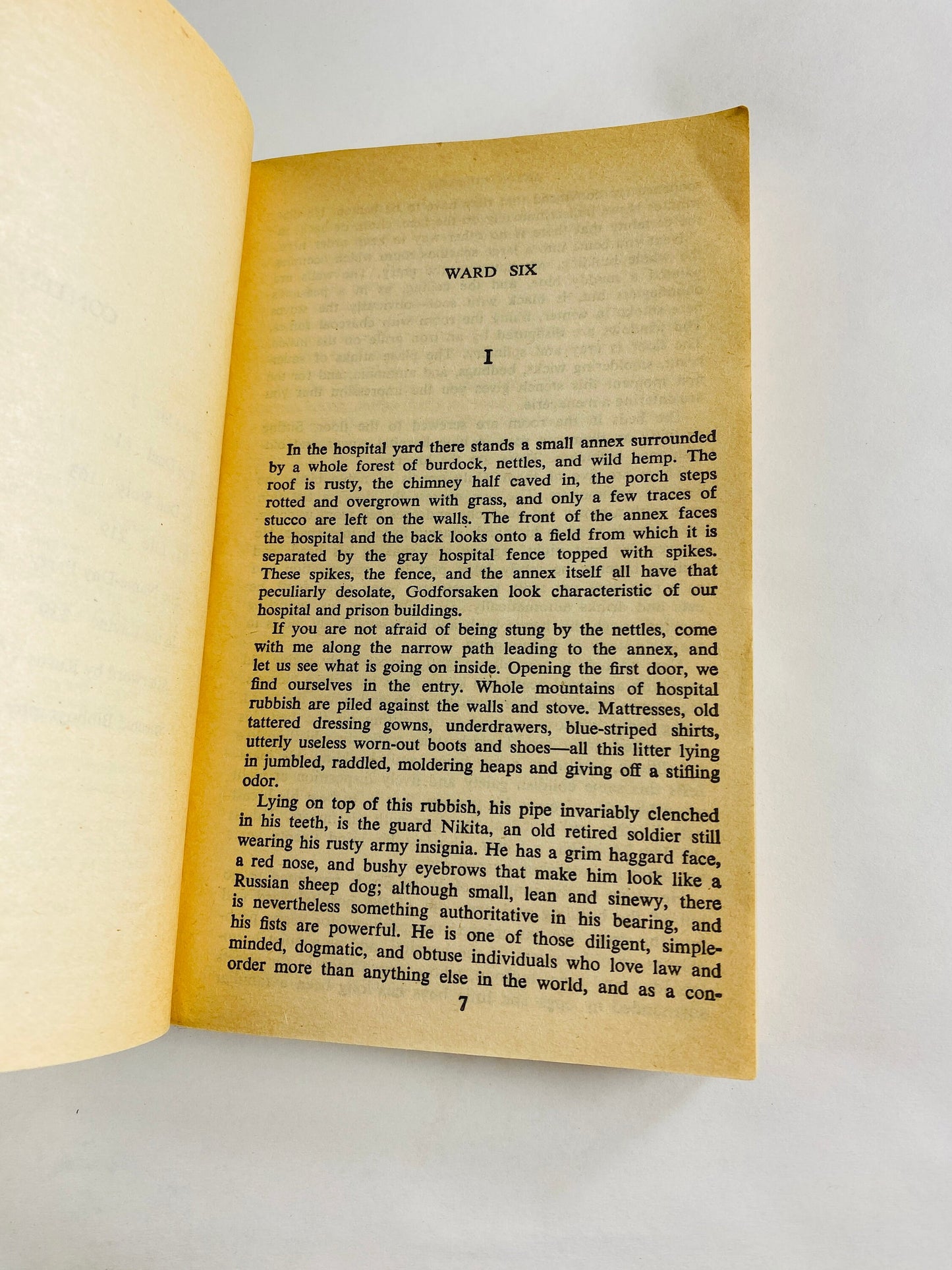 Anton Chekhov vintage Signet paperback book Ward Six circa 1982 New American Library includes Duel, Dull Story, My Life, Name Day Party