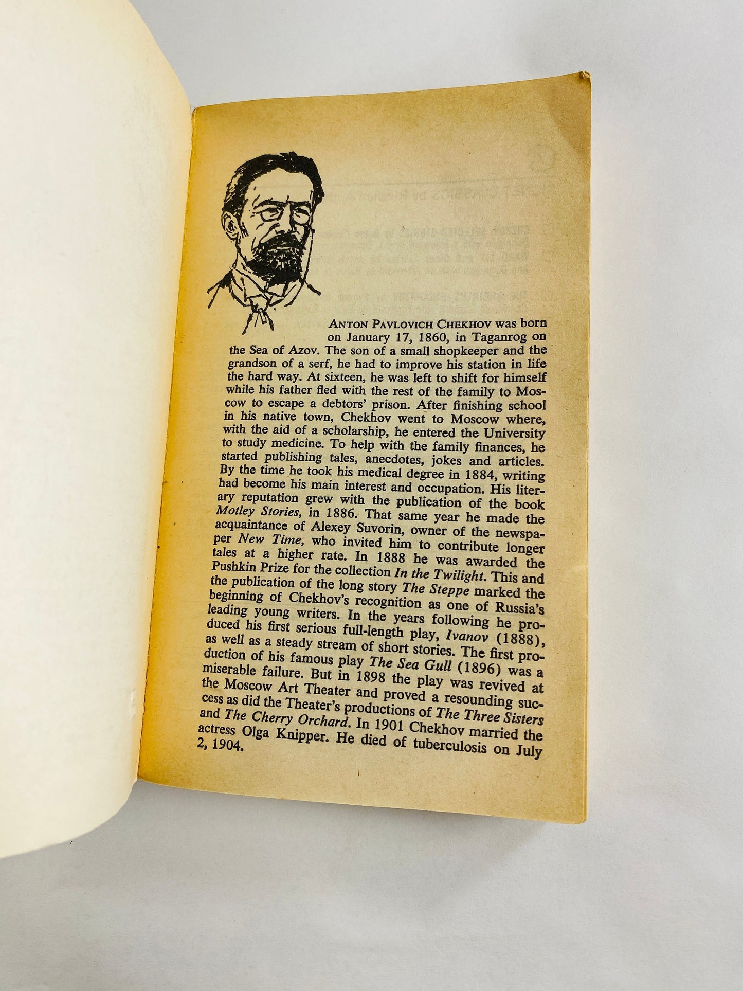 Anton Chekhov vintage Signet paperback book Ward Six circa 1982 New American Library includes Duel, Dull Story, My Life, Name Day Party