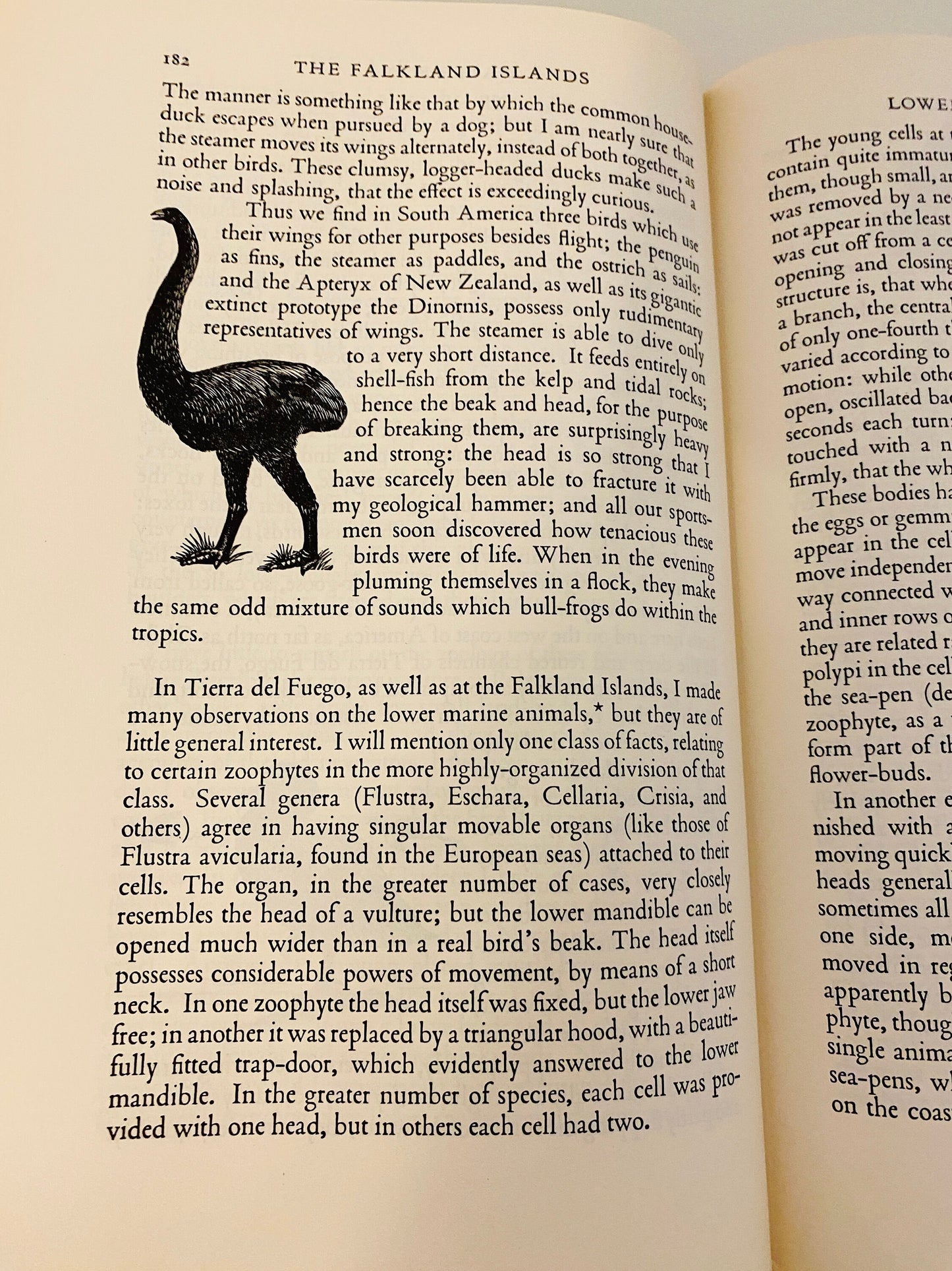 Heritage Press vintage book Charles Darwin's Journal of Researches Voyage of HMS Beagle LARGE vintage book circa 1957 outdoors nature gift