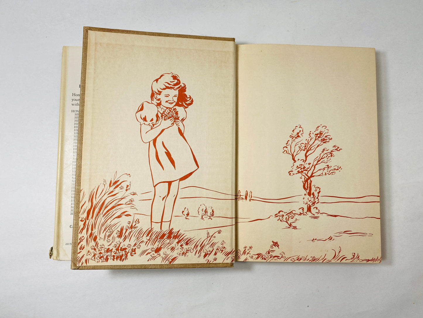 Honey Bunch vintage book circa 1948 with dust jacket by Helen Louise Thorndyke Tan Cloth Bound Vintage Mystery Stories. Laura Lee Hope.
