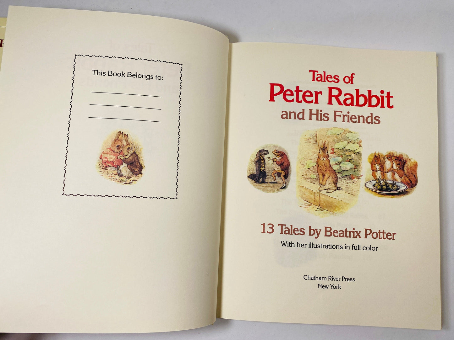 Tales of Peter Rabbit and his Friends vintage book from 1984 written by Beatrix Potter. Crown Publisher Christmas gift. stocking stuffer