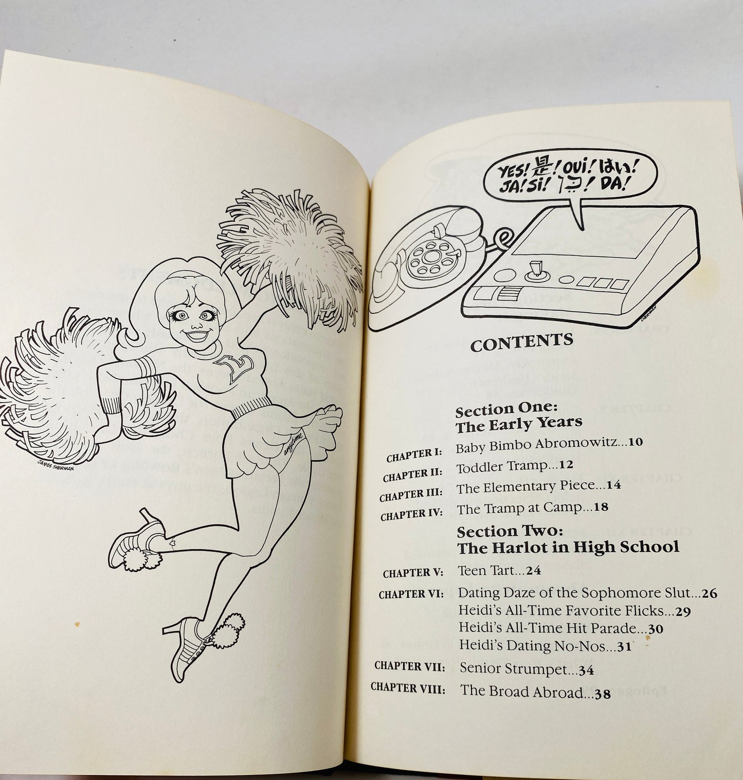 Joan Rivers vintage book Life & Times of Heidi Abromowitz FIRST EDITION circa 1984 collectible comedian female Stocking Stuffer Chanukah