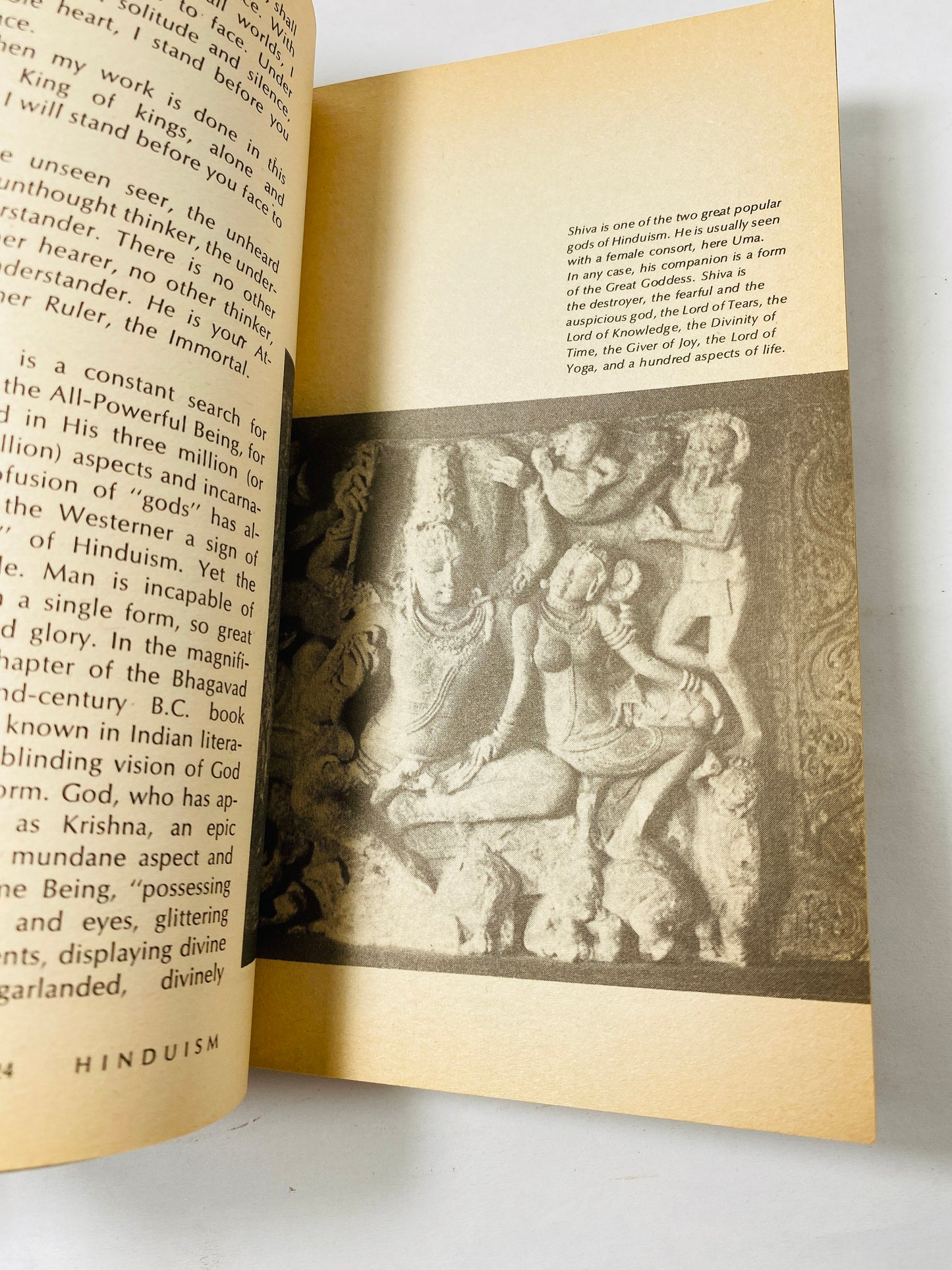 Five Great Religions vintage paperback book by Edward Rice circa 1977. Zoroastrianism, Janism, Buddhism, Hinduism, Islam and Christianity.