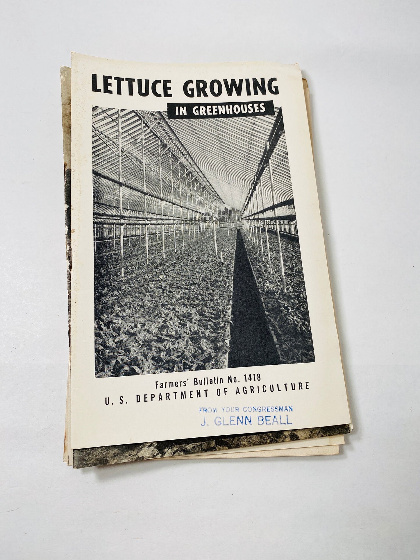 Vintage Agriculture Department farm booklets wool greenhouses grapes vegetable Wheat Smuts asparagus Strawberry eggplant homestead DIY