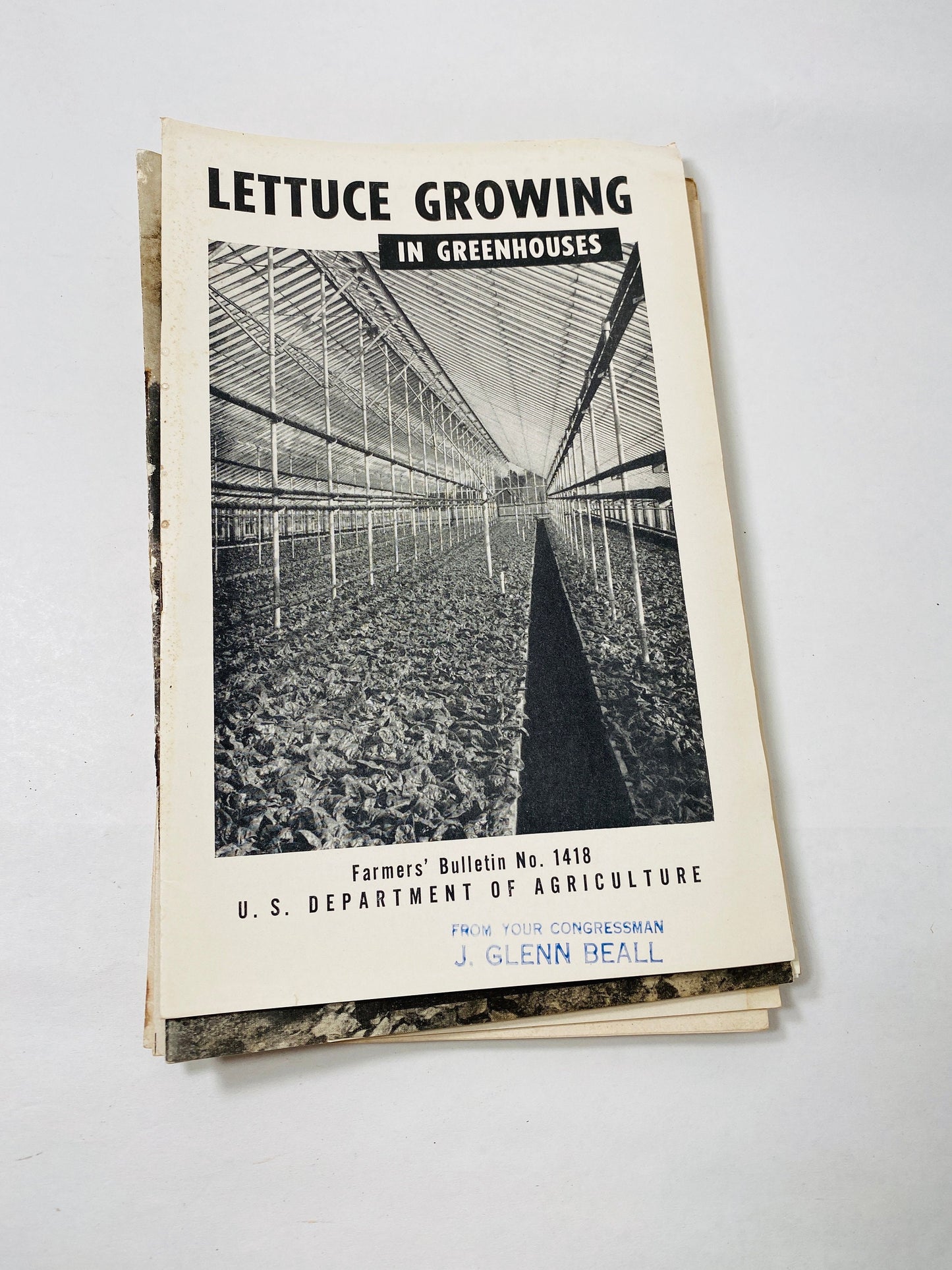 Vintage Agriculture Department farm booklets wool greenhouses grapes vegetable Wheat Smuts asparagus Strawberry eggplant homestead DIY