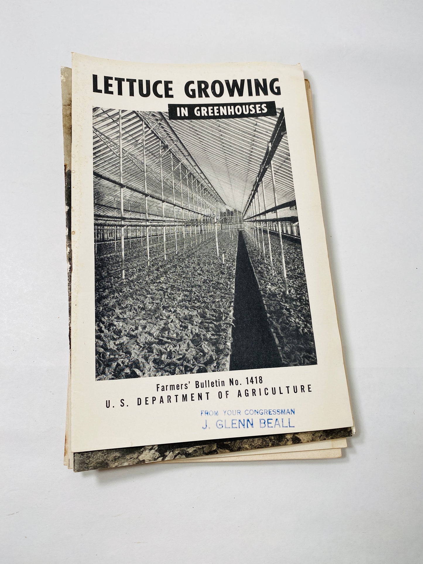 Vintage Agriculture Department farm booklets wool greenhouses grapes vegetable Wheat Smuts asparagus Strawberry eggplant homestead DIY